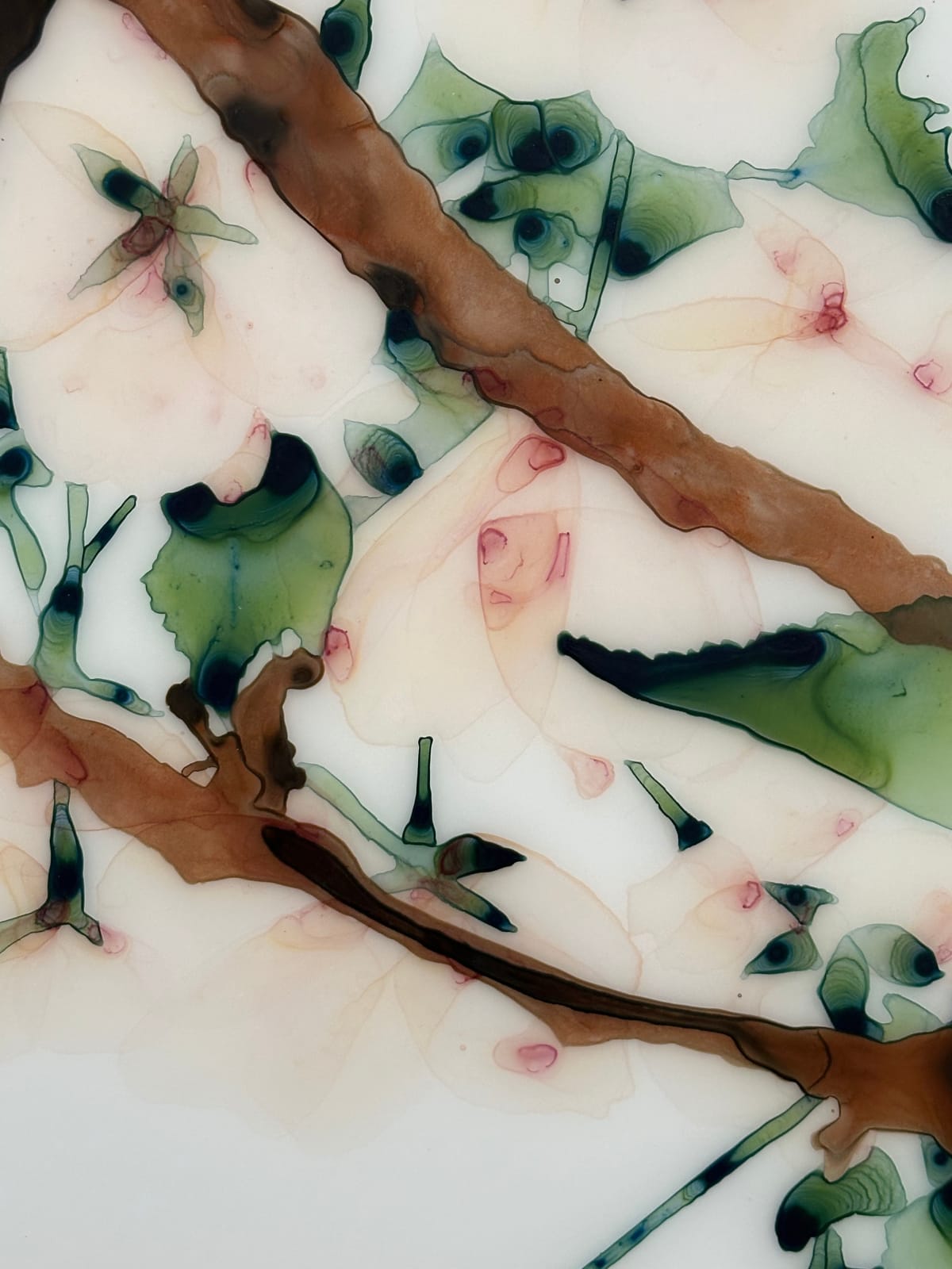Jackie Battenfield, First Blush, 2023
