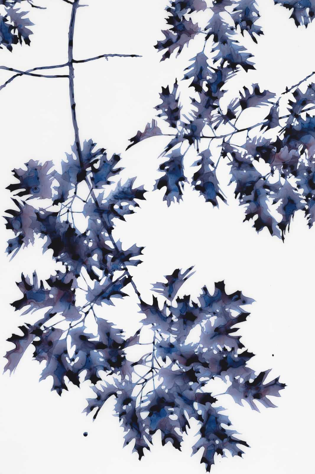 Jackie Battenfield, Briefly Shaded, 2019