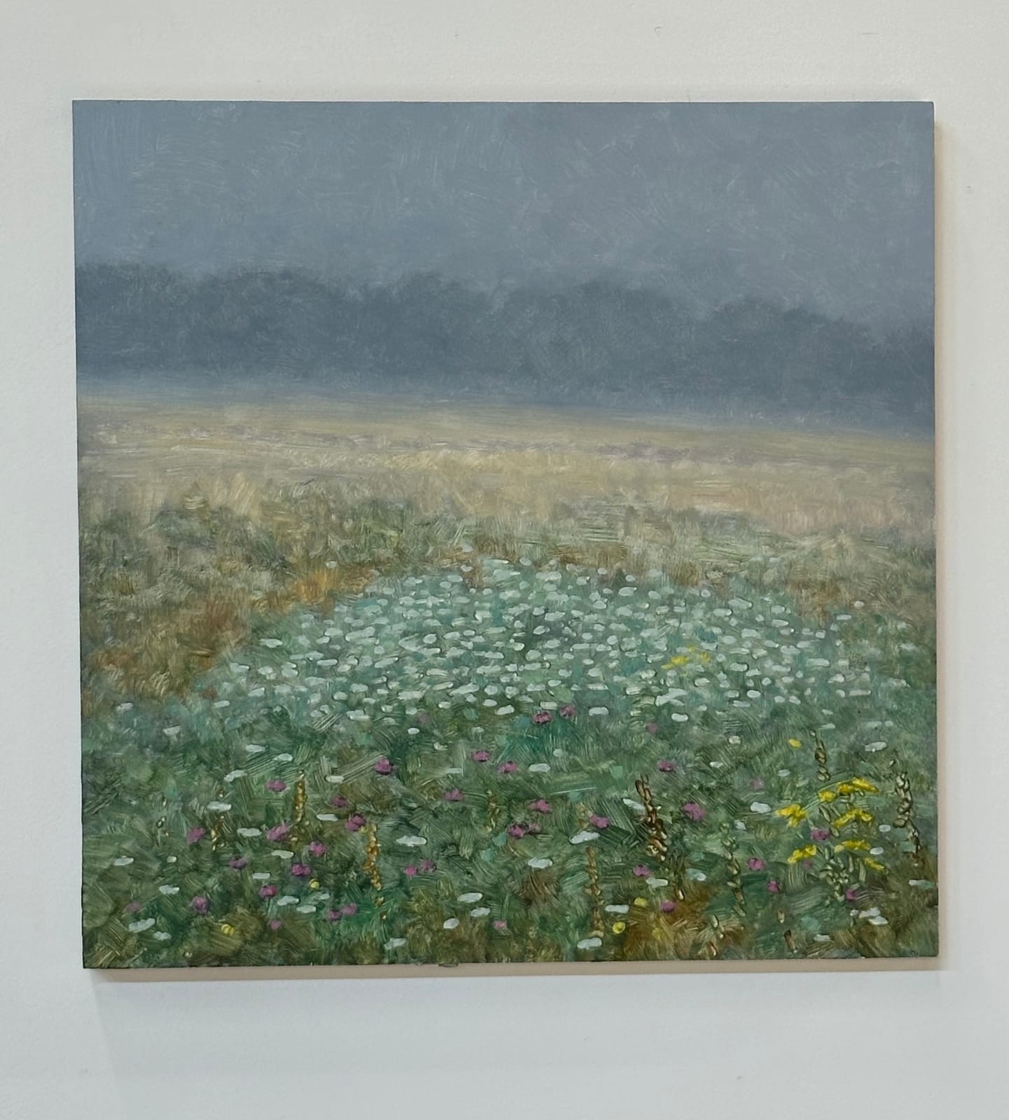 Thomas Sarrantonio, Field Painting August 16, 2024