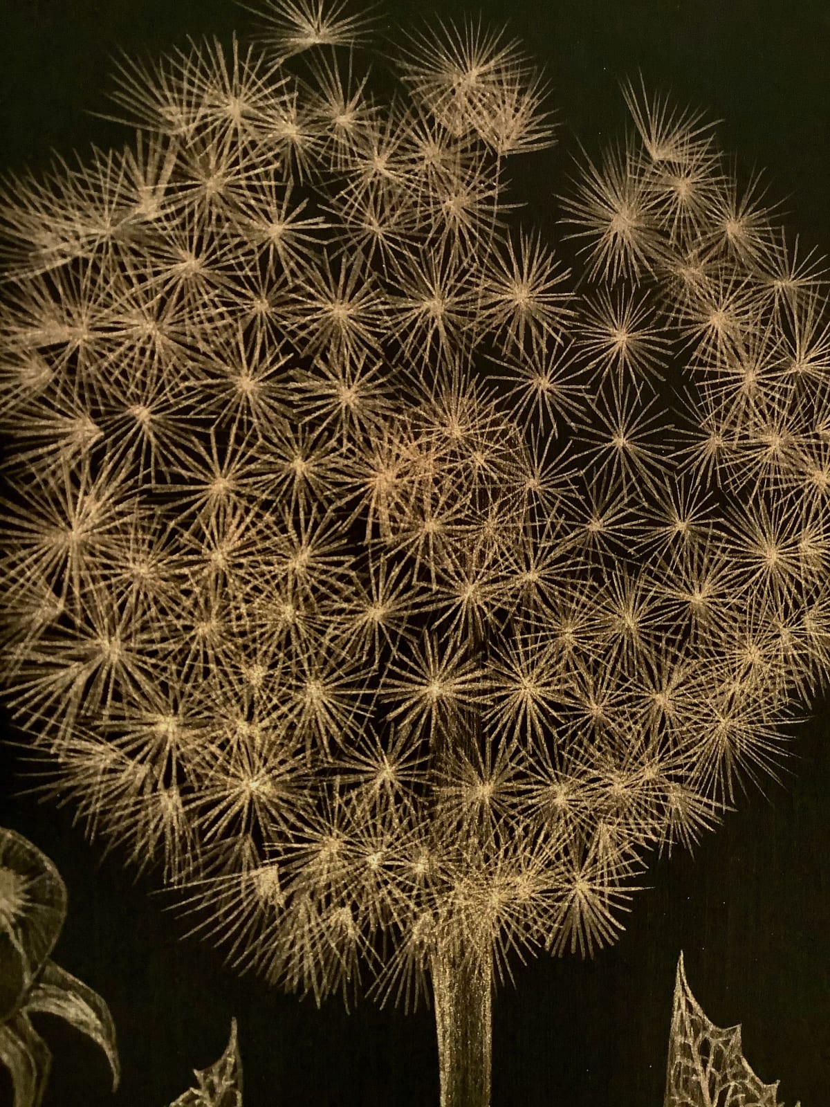 Margot Glass, Dandelion with Bud 2, 2019