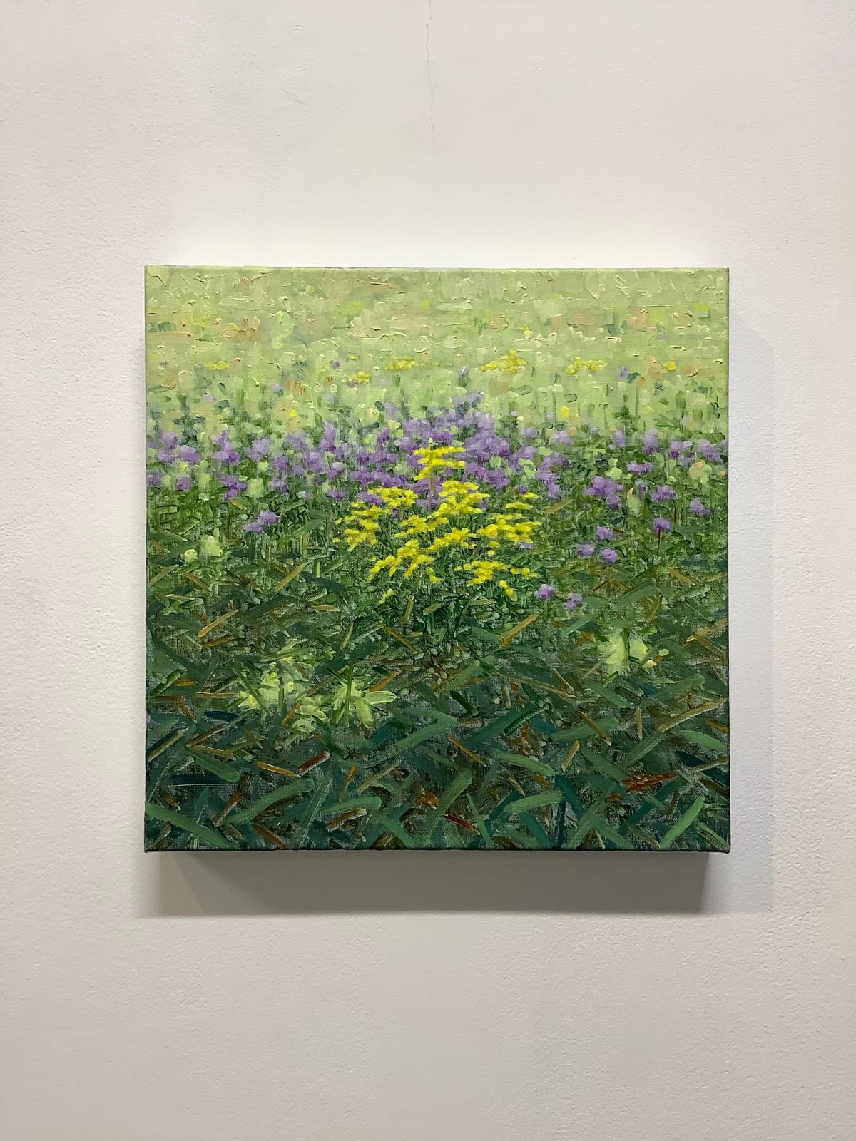 Thomas Sarrantonio, Bergamot and Goldenrod, 2019