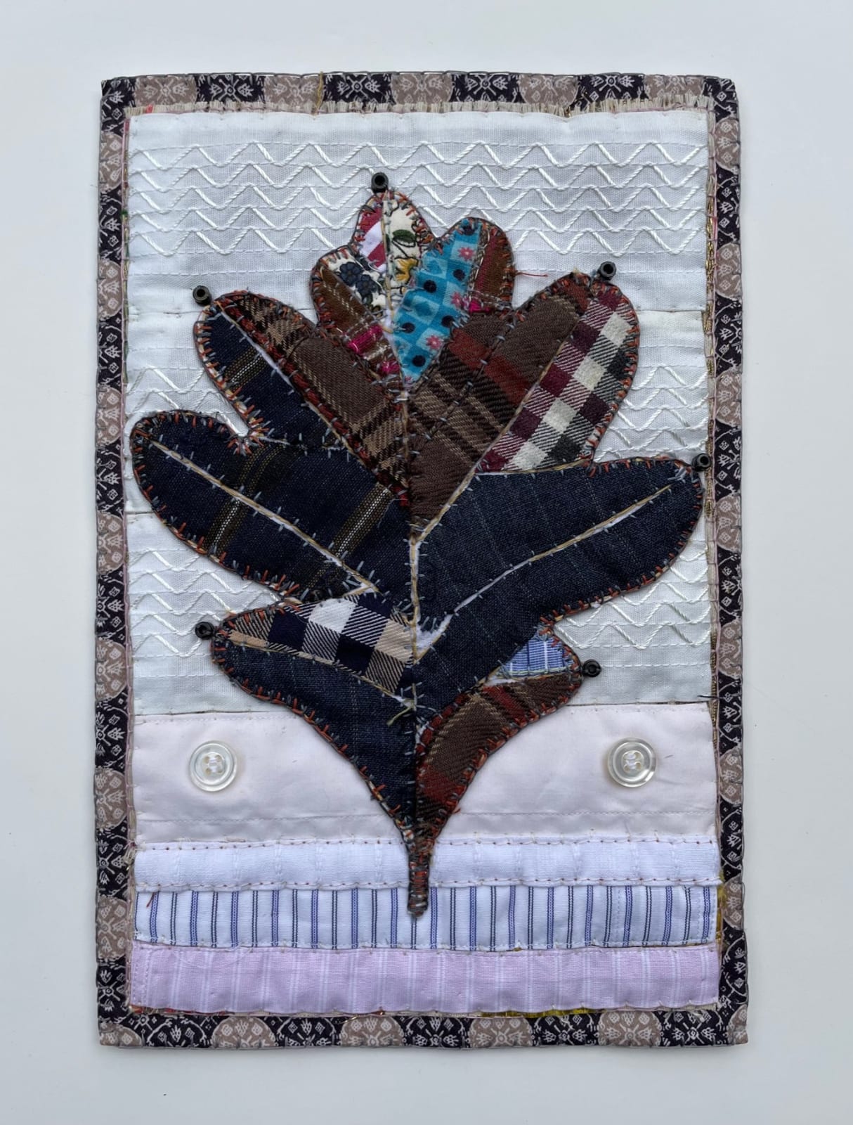 Donna Sharrett, Tailored Herbaria: Quercus alba: Pocantico River Watershed (2023 #3), 2023