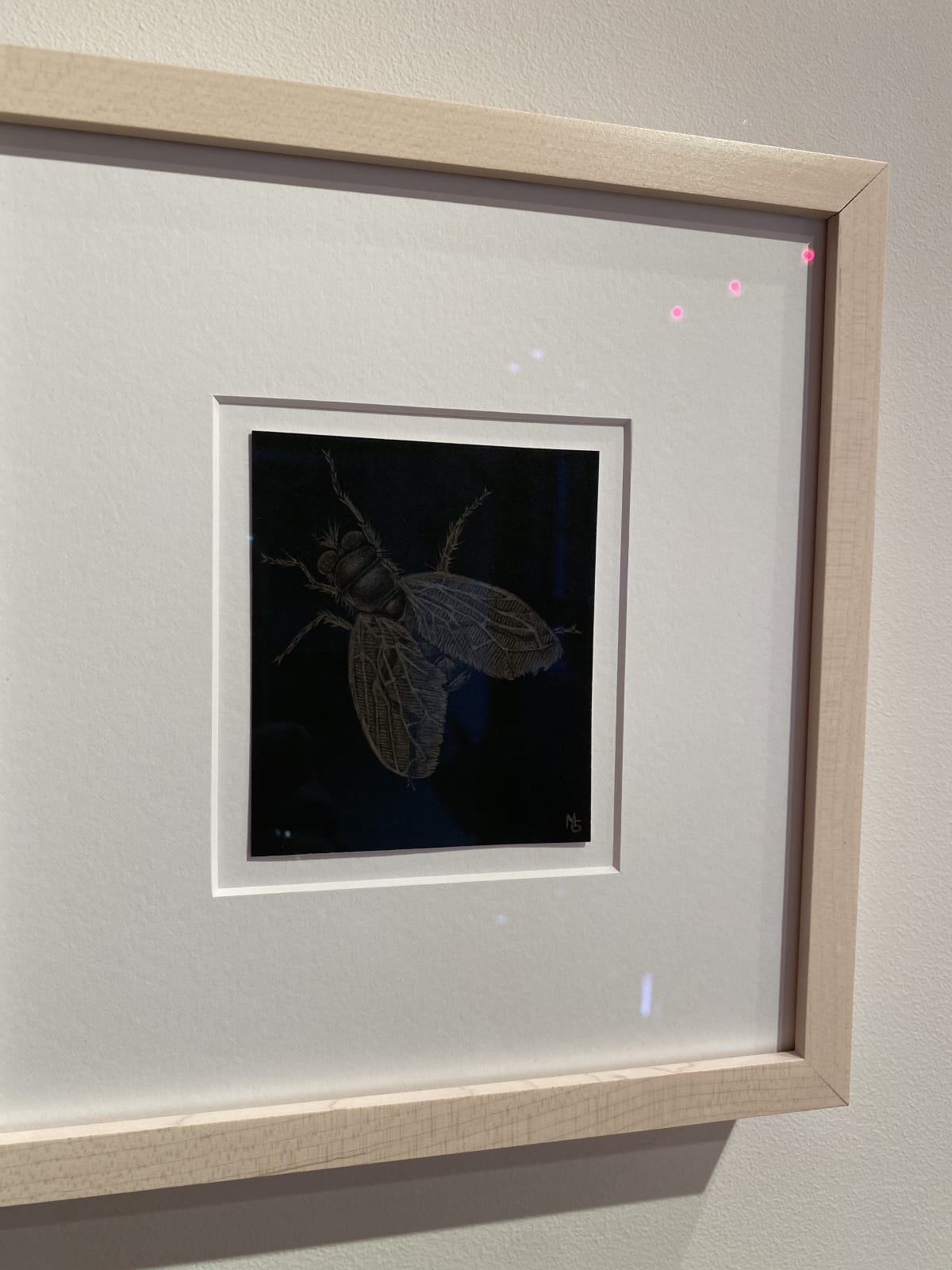 Margot Glass, Stag Beetle, 2020