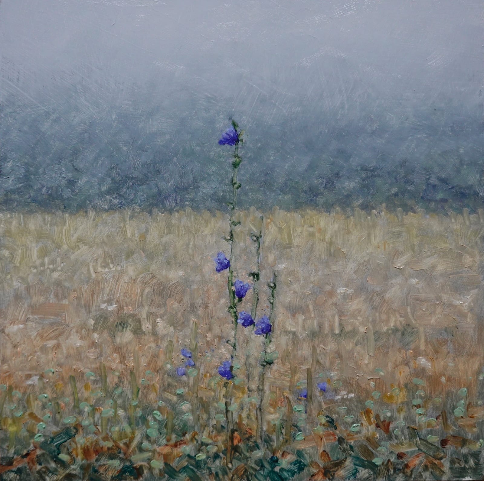 Thomas Sarrantonio, Field Painting September 12, 2023