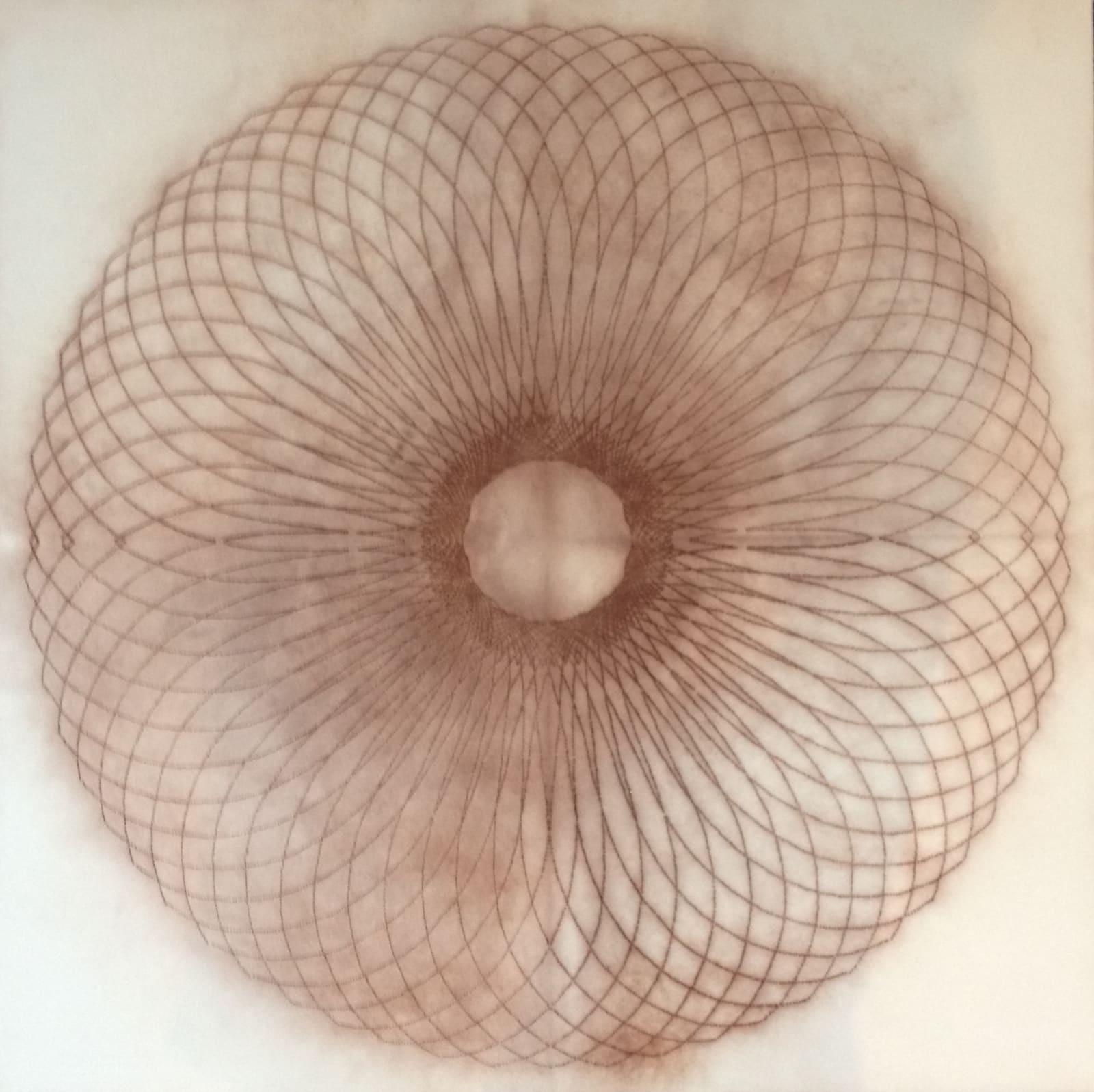 Mary Judge, Exotic Hex Series, 12/1, 2006