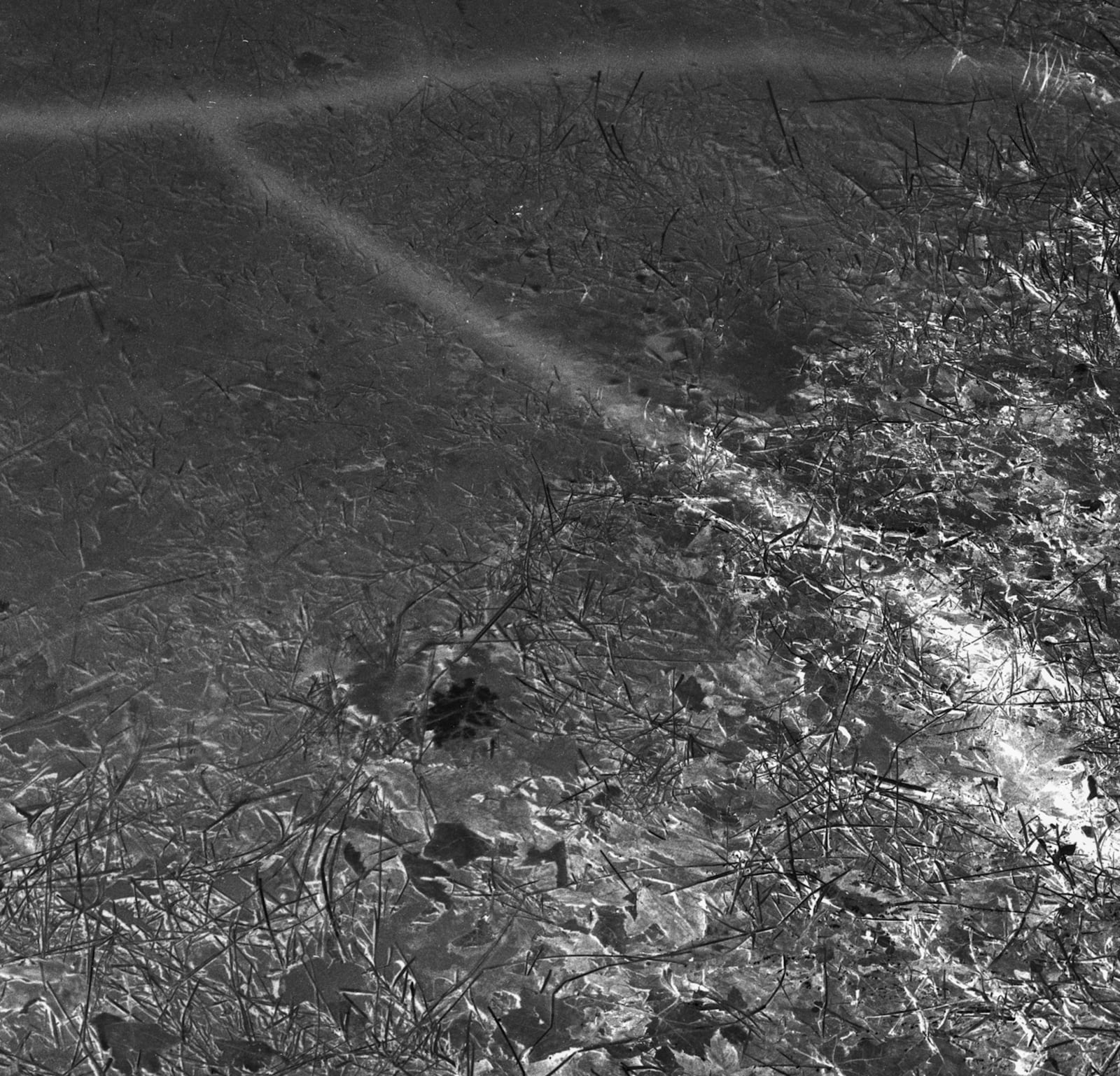 Maya Tihtiyas Attean, Secrets of the River, 2024