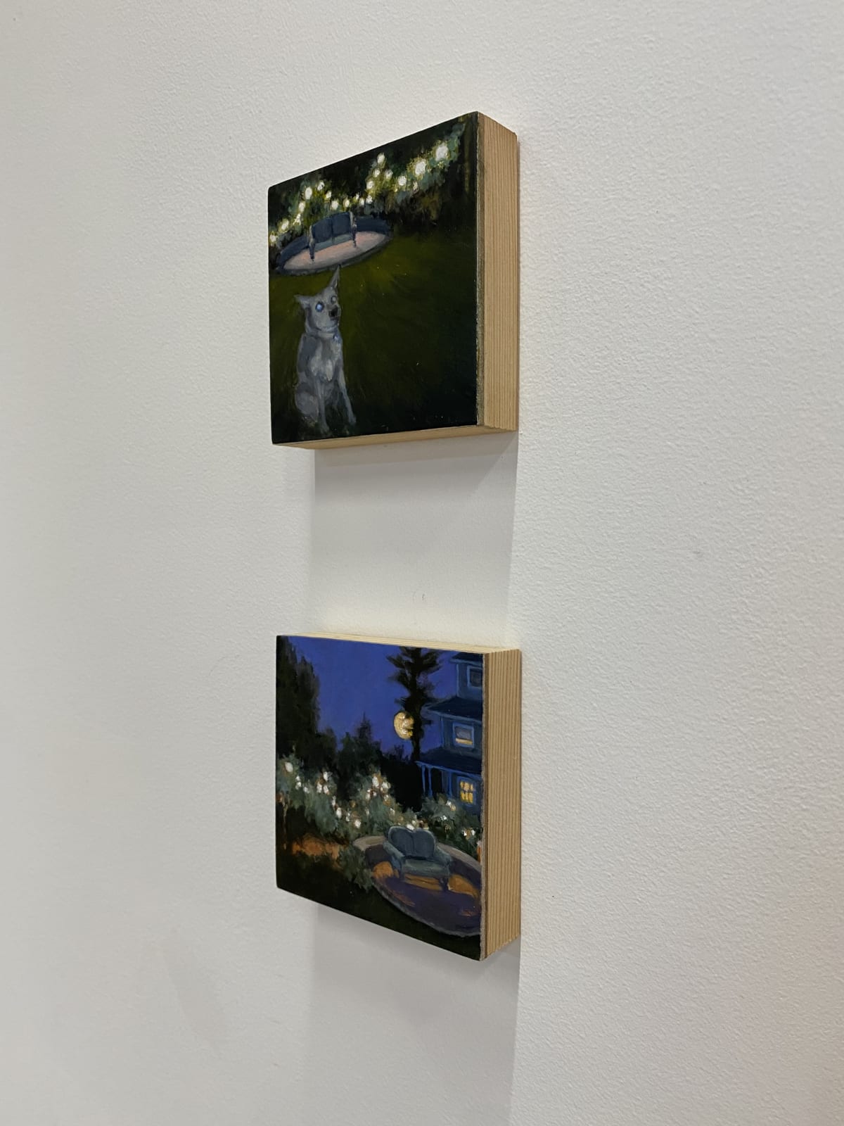 Sally Maca, Flash Dog, 2021