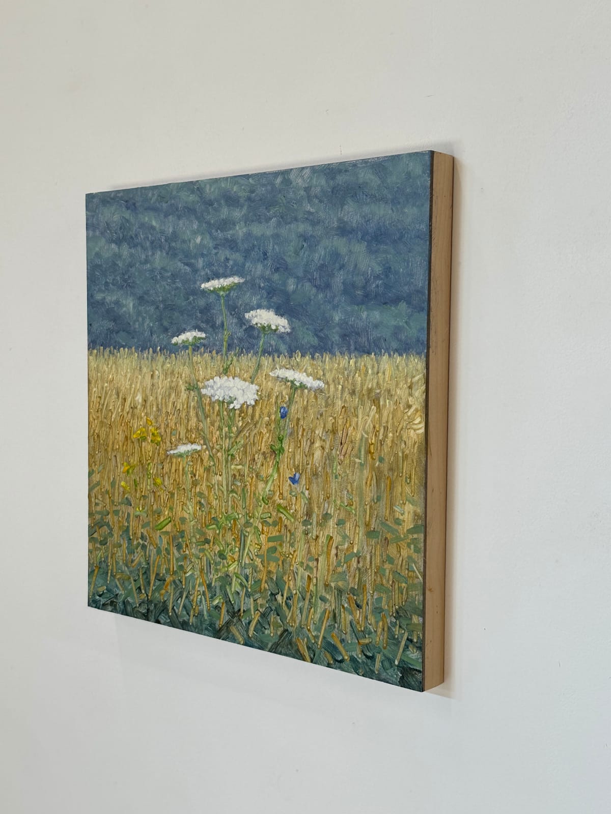 Thomas Sarrantonio, Field Painting July 15, 2024