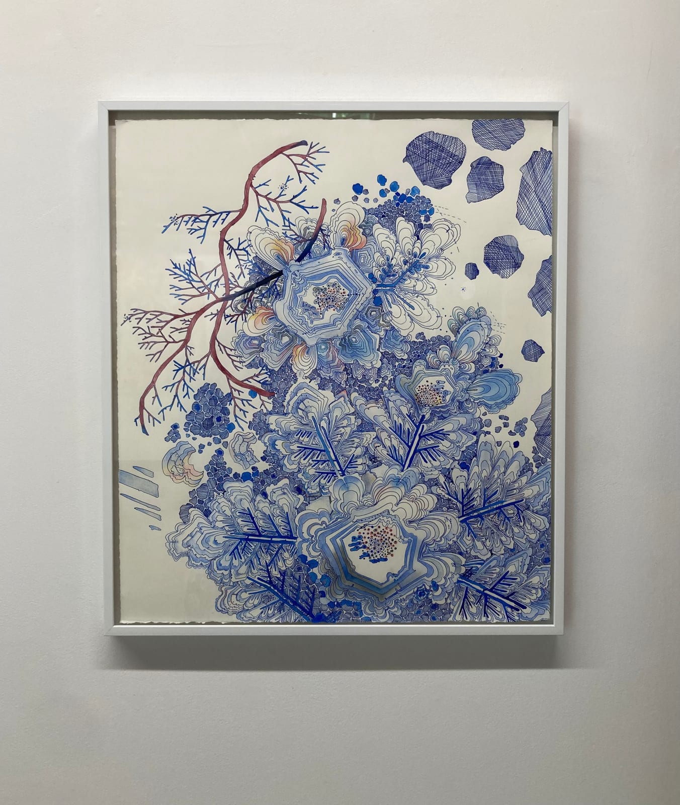 Sarah Morejohn, Snow Flora, Falling, 2020
