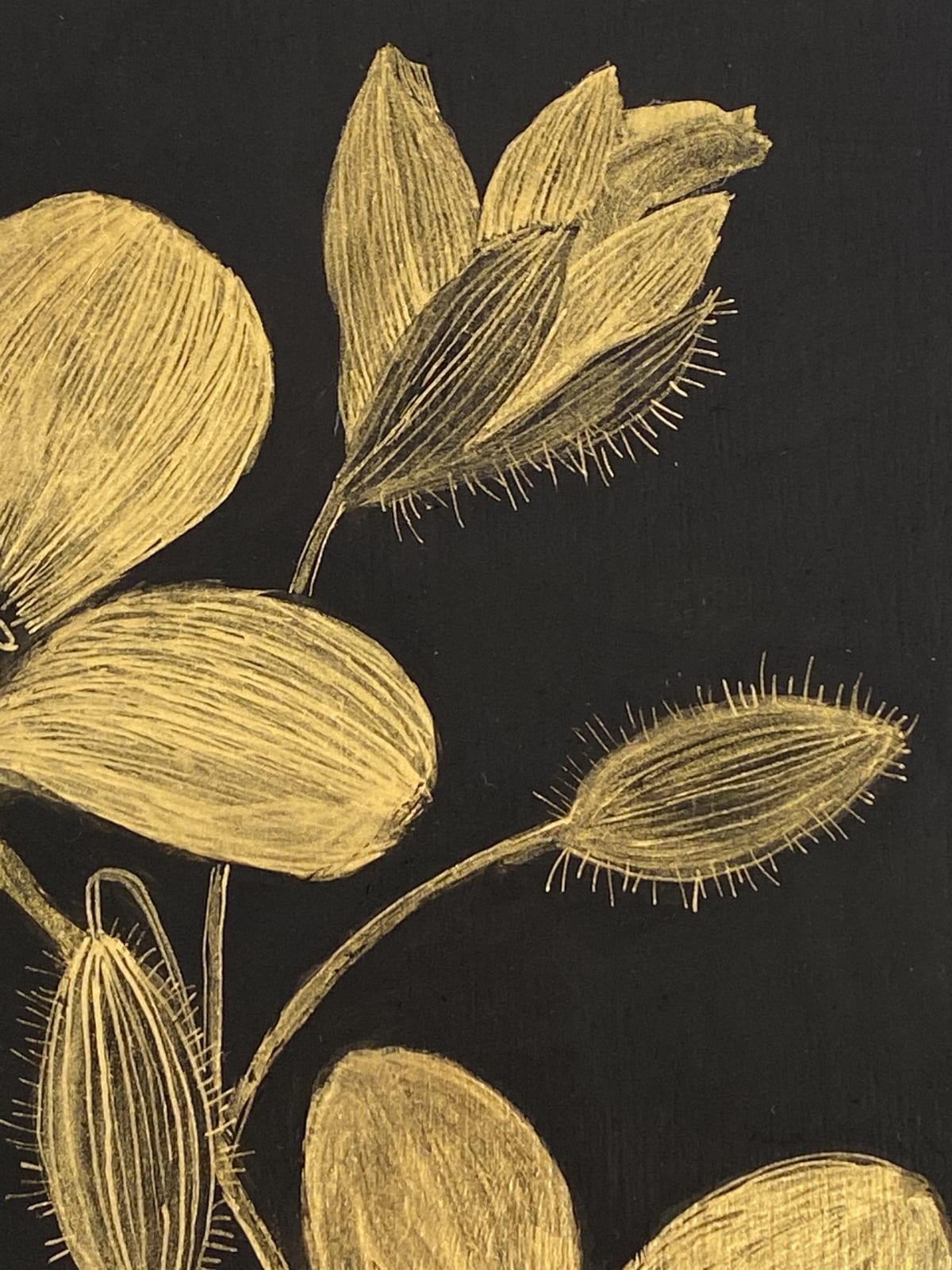 Margot Glass, Celandine, 2021