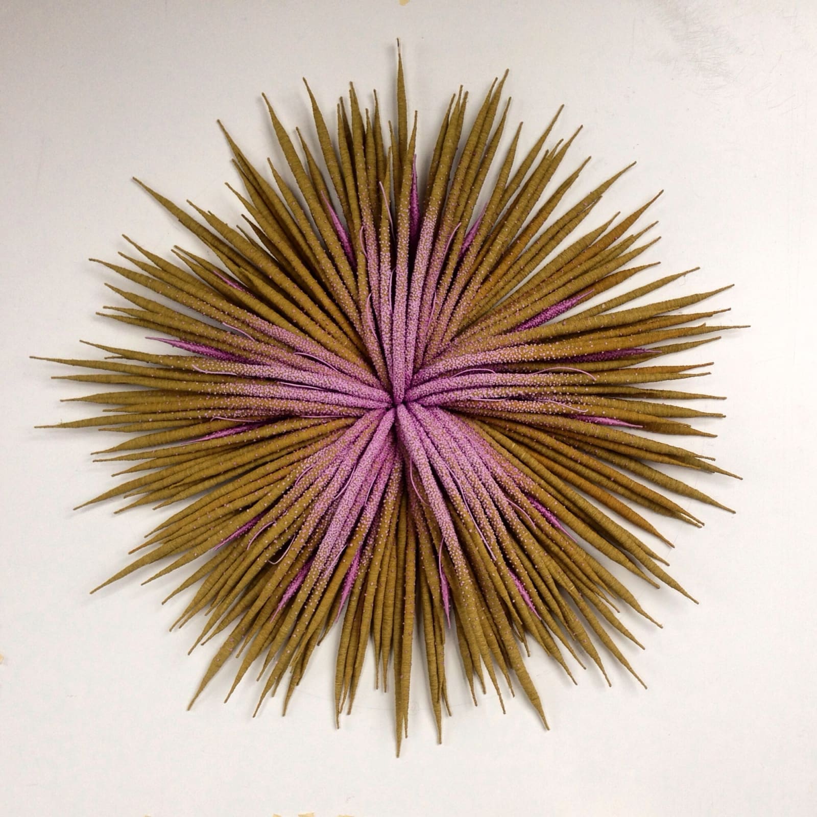 Catherine Latson, Specimen 11, 2019