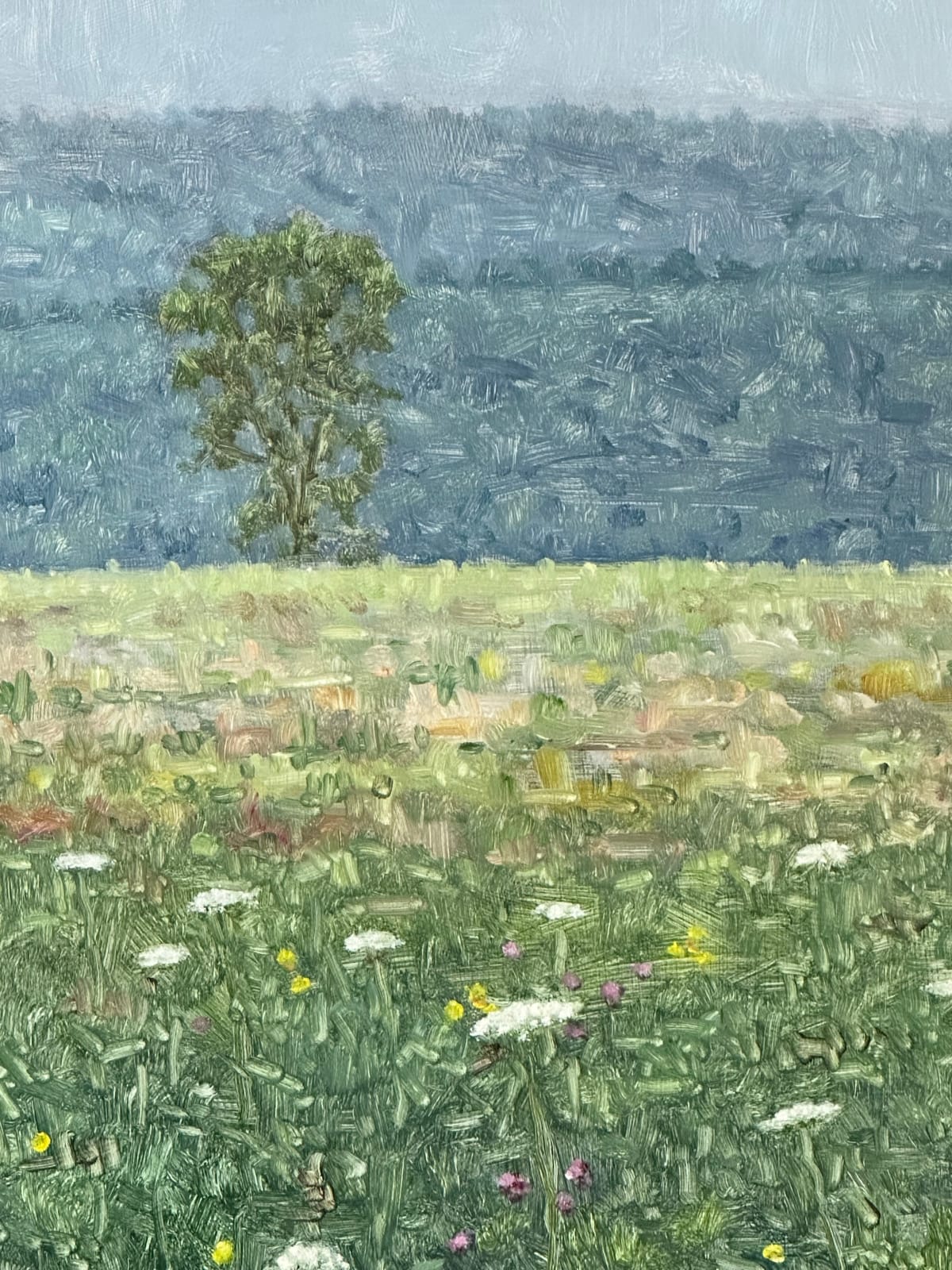 Thomas Sarrantonio, Field Painting July 27, 2023