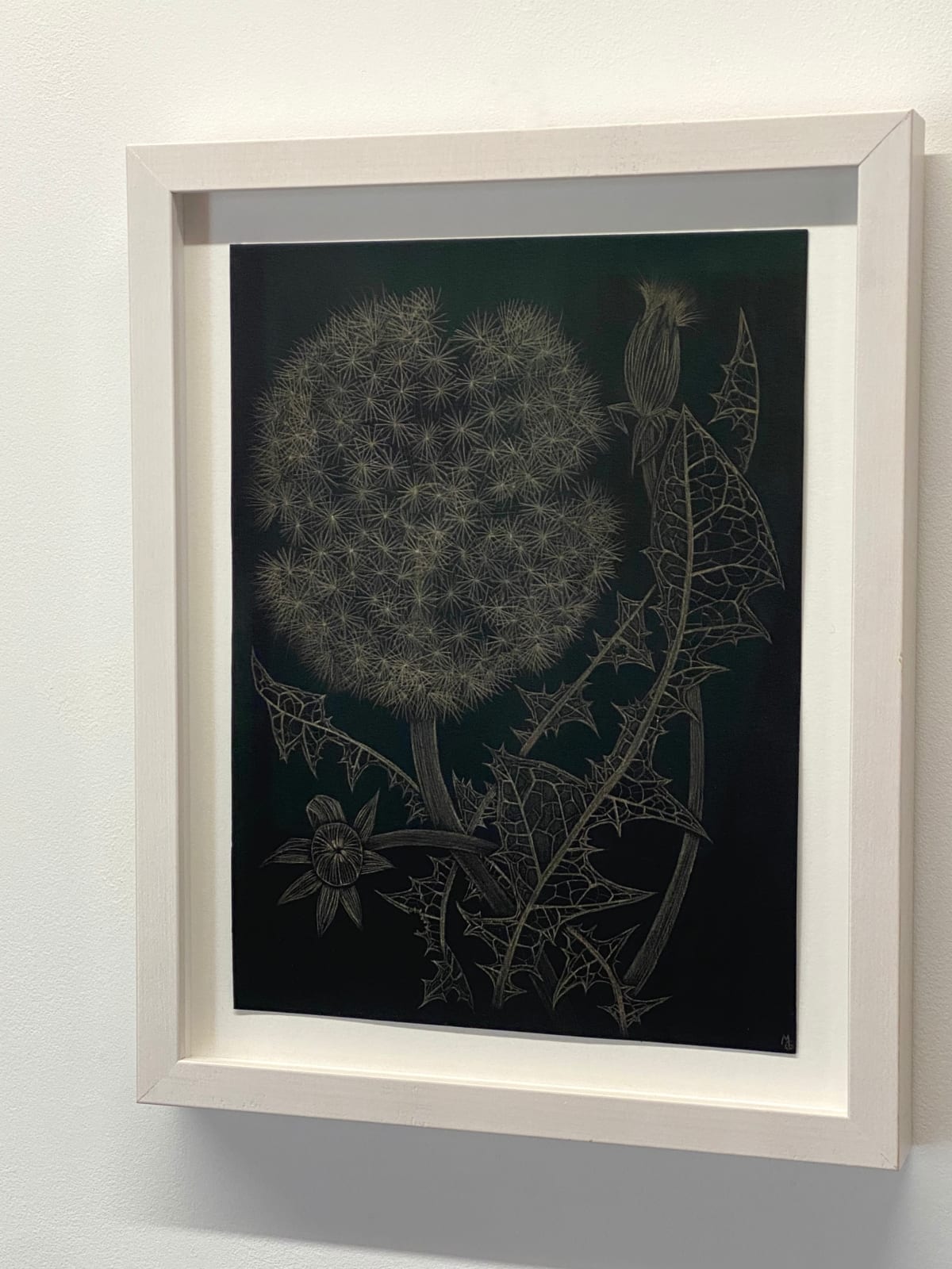 Margot Glass, Dandelion with Two Buds, 2022