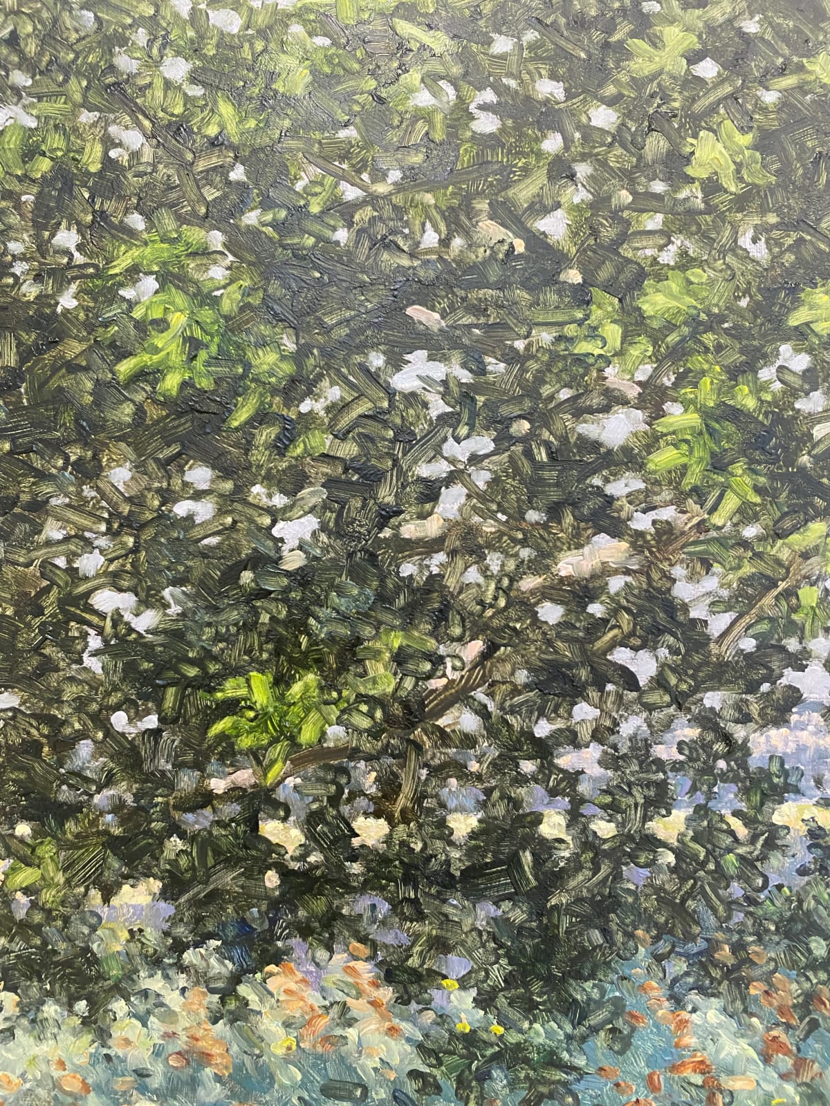 Thomas Sarrantonio, Field Painting July 15, 2022