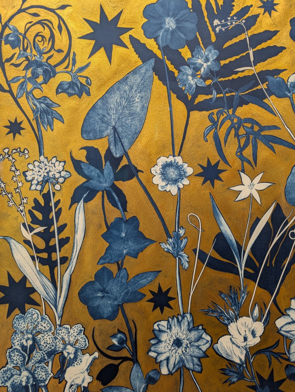 Julia Whitney Barnes, Gold Flora, Shadows (Orchid, Hellebore, Leaves, Cosmos, Stars, etc.), 2023-'24