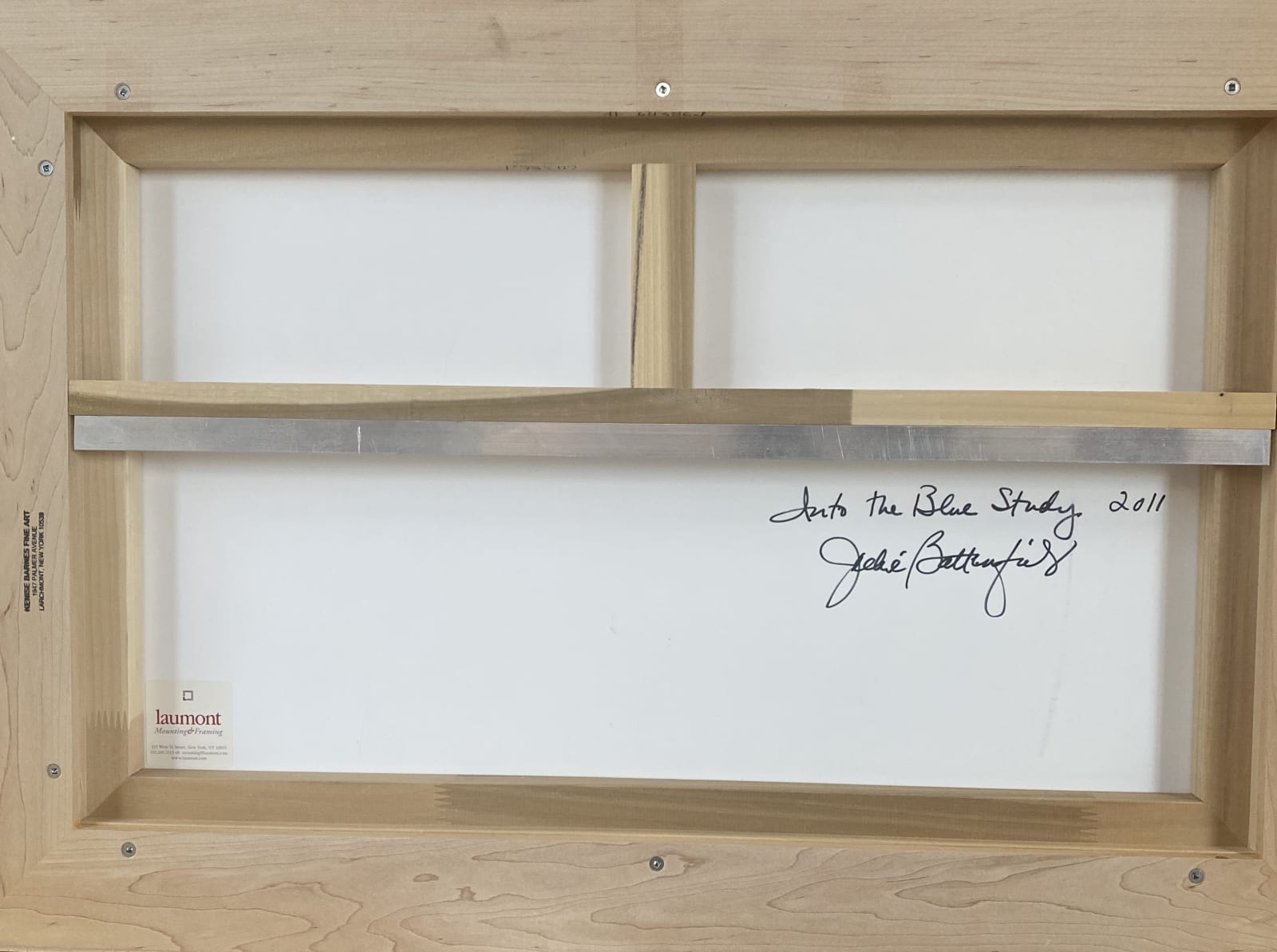 Jackie Battenfield, Into the Blue Study, 2011