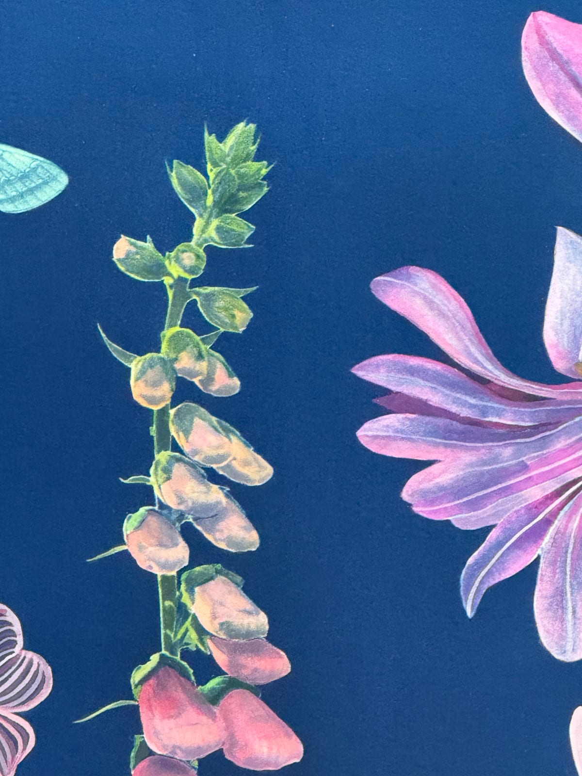 Julia Whitney Barnes, Picturesque Botany (Tulip, Magnolia, Dogwood, Foxglove, Crocus, Pollinators, etc.), 2025