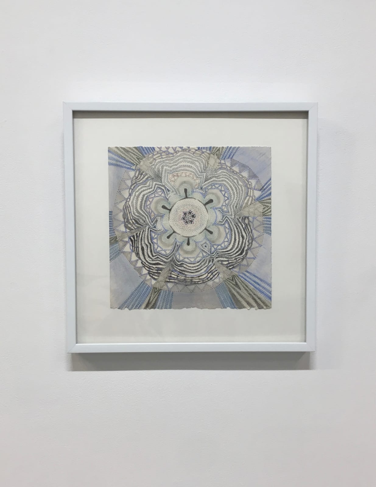 Sarah Morejohn, Blue Knight Polypore, 2017