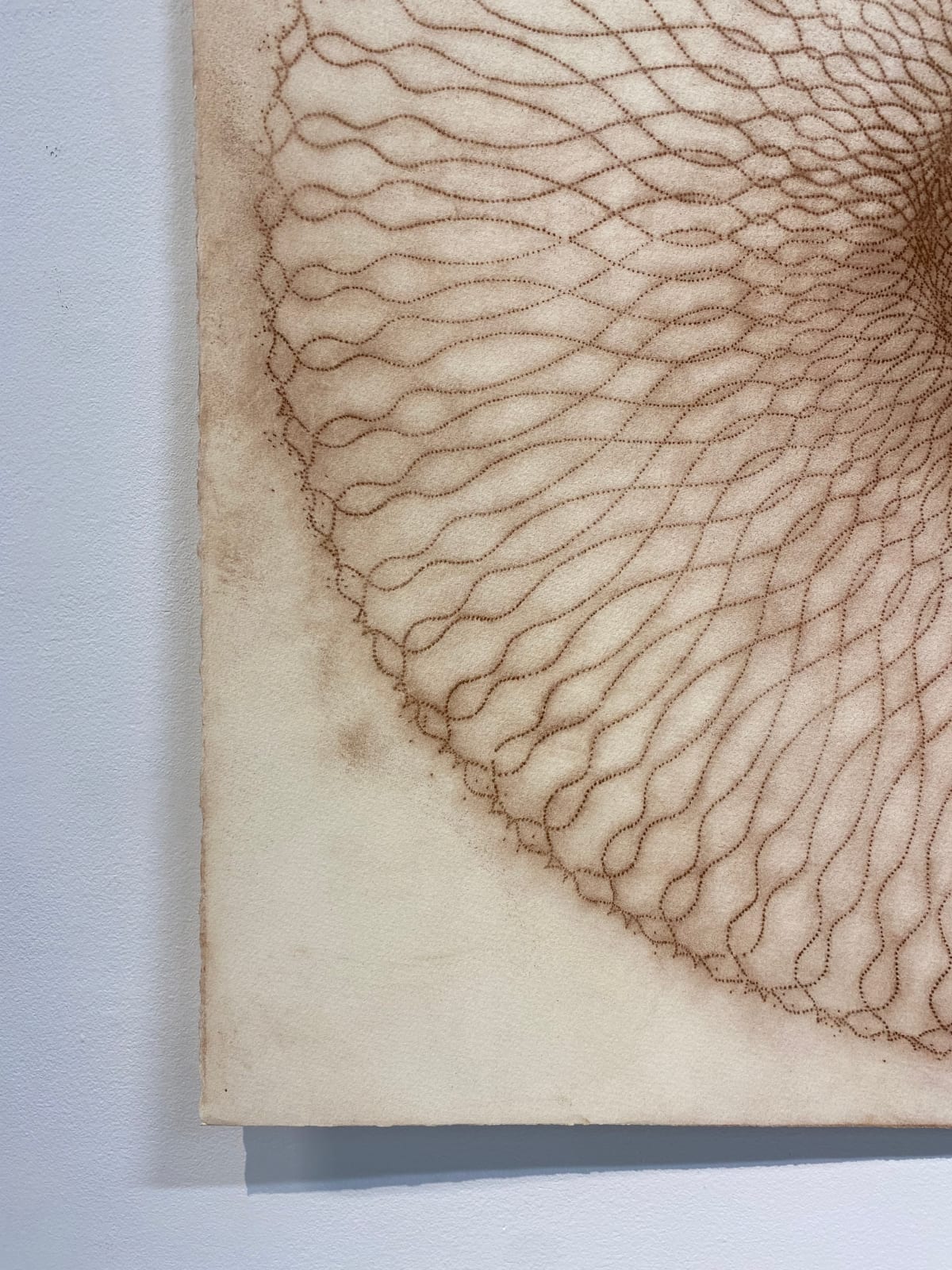 Mary Judge, Exotic Hex Series, 112/07, 2007