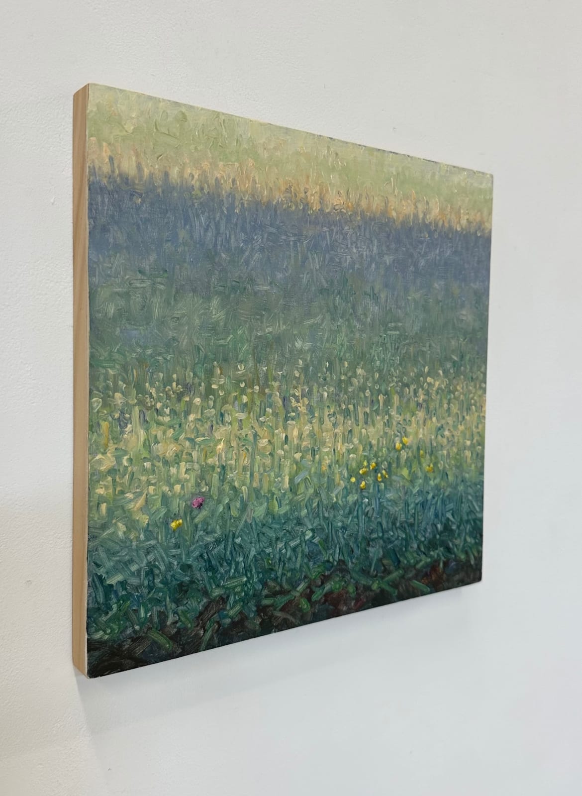 Thomas Sarrantonio, Field Painting June 19, 2023