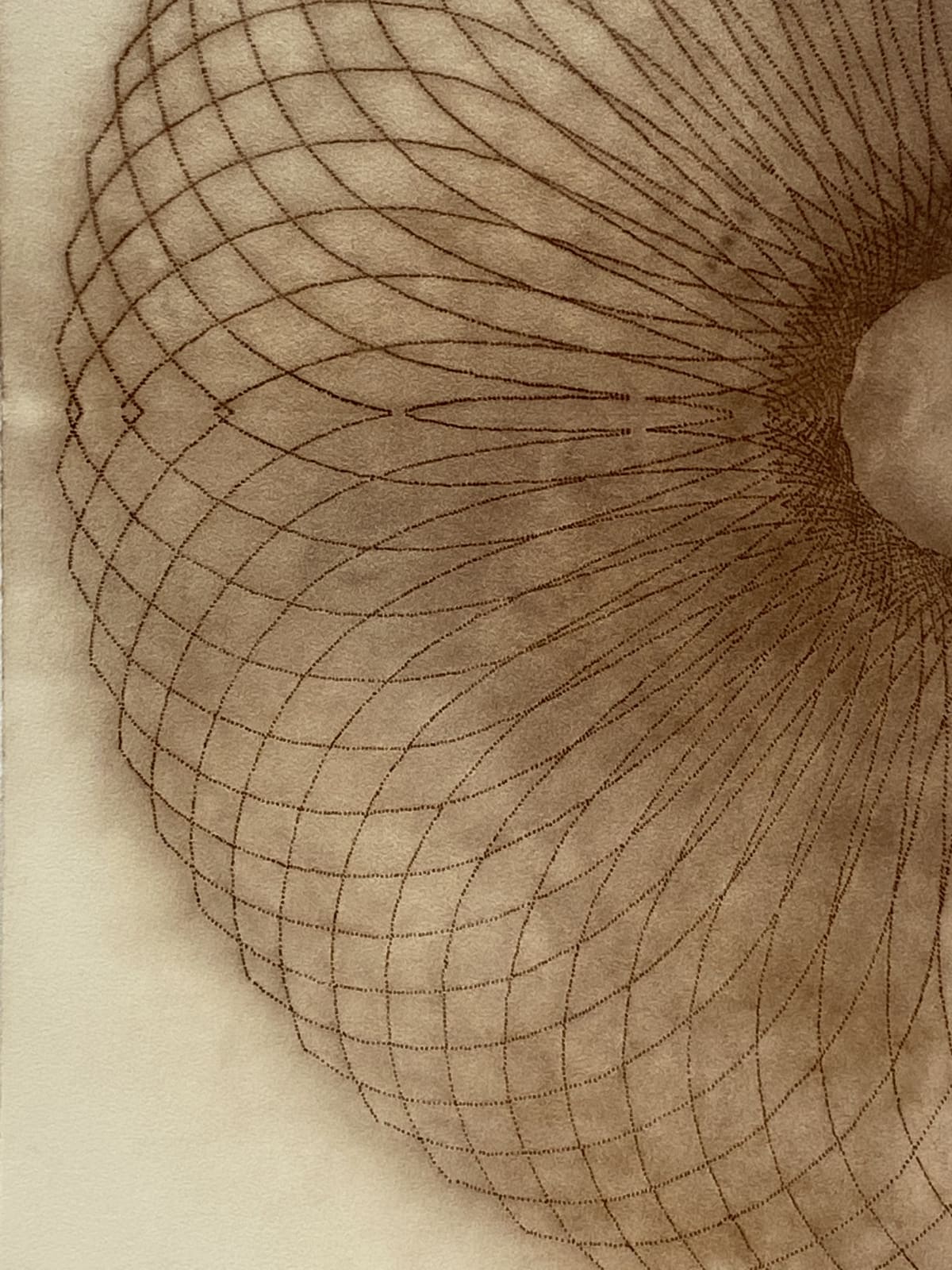 Mary Judge, Exotic Hex Series, 12/1, 2006