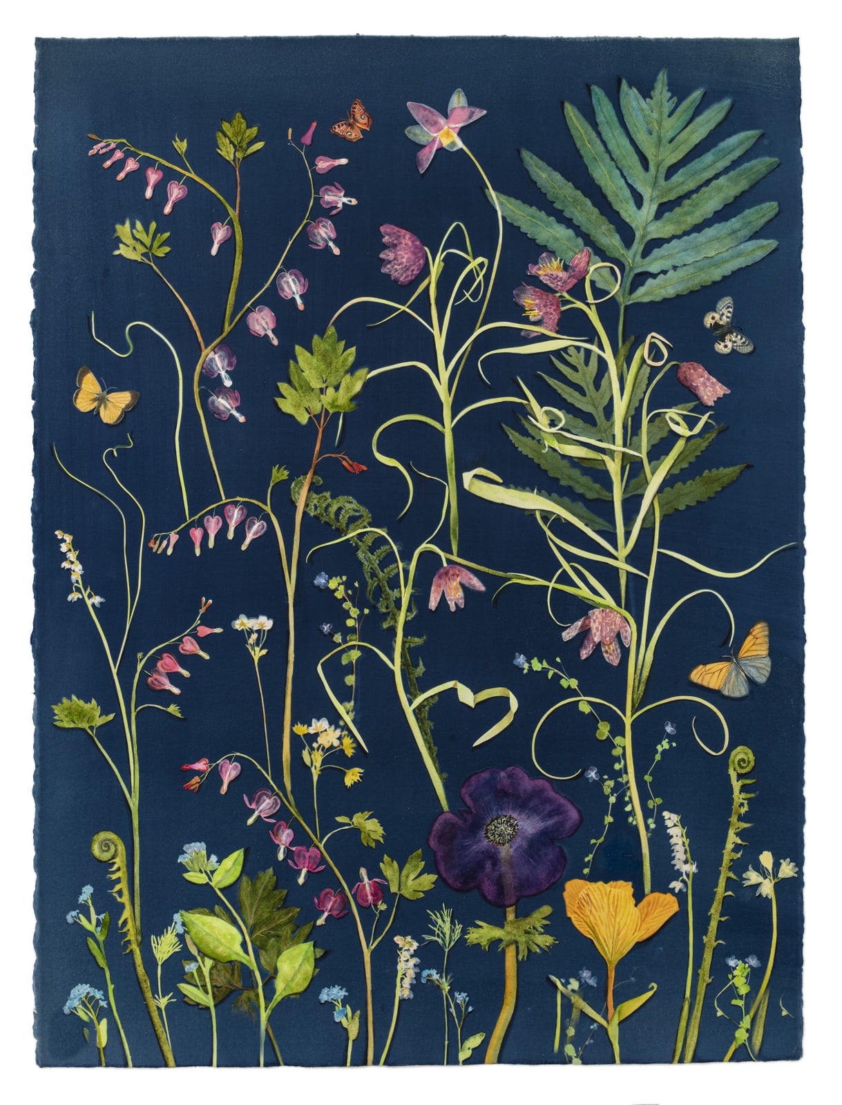 Julia Whitney Barnes, Cyanotype Painting (Bleeding Hearts, Fritillaria, Ferns, Pollinators, 2021
