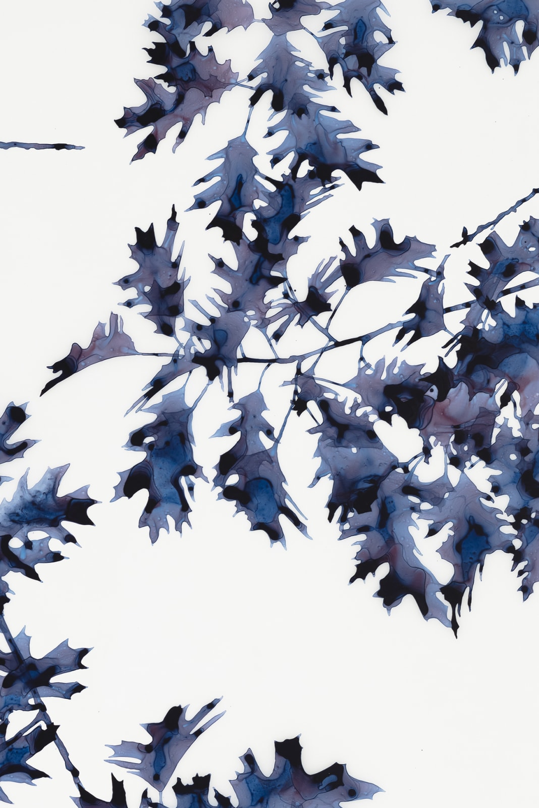 Jackie Battenfield, Briefly Shaded, 2019
