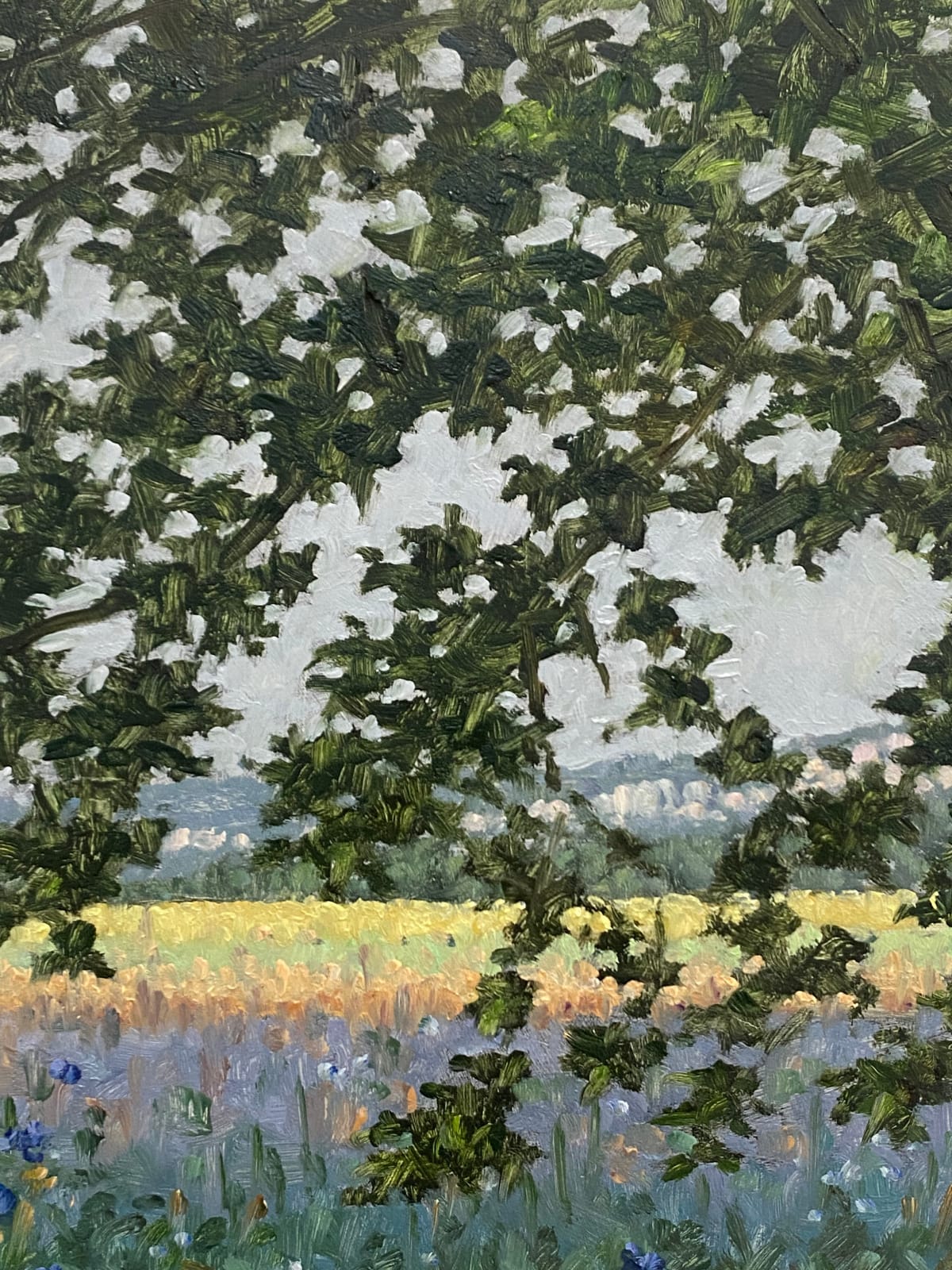 Thomas Sarrantonio, Field Painting July 12, 2022