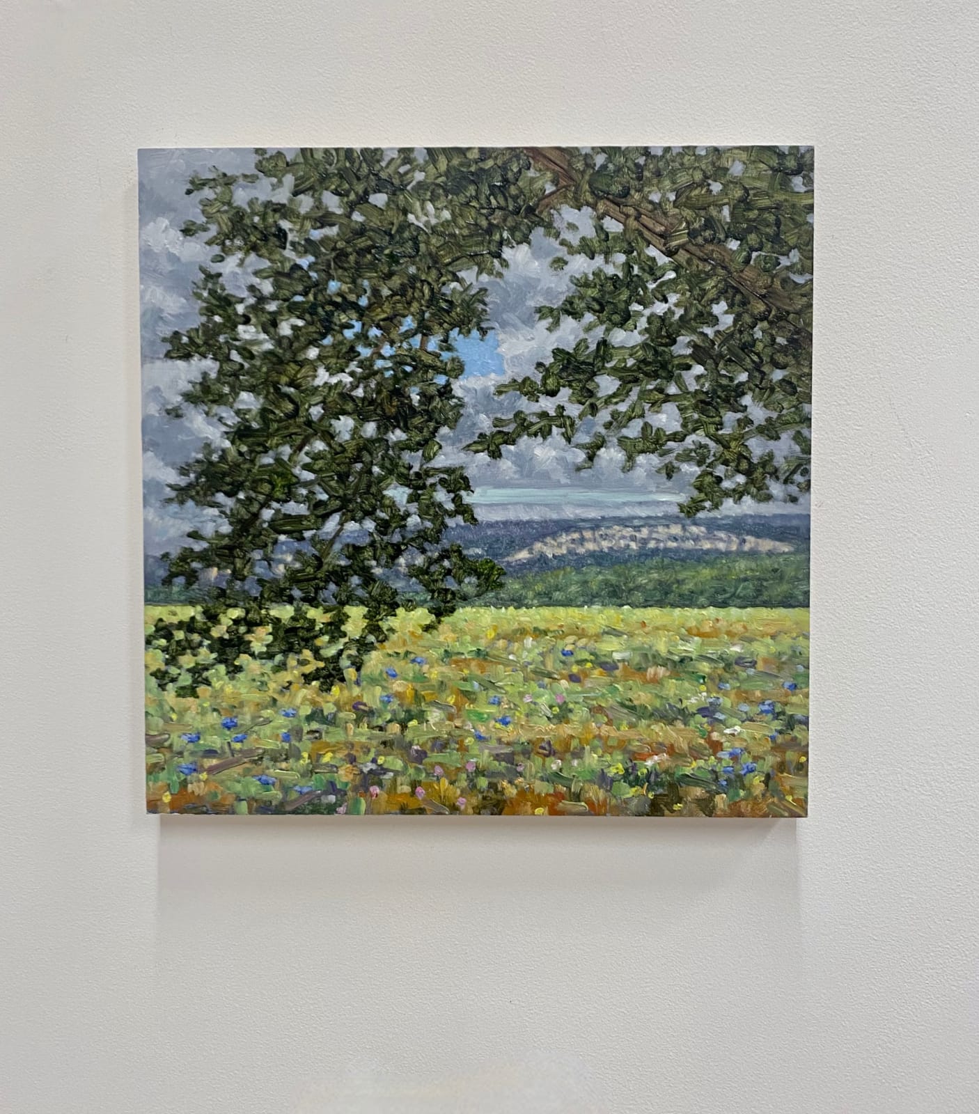 Thomas Sarrantonio, Field Painting July 19, 2021