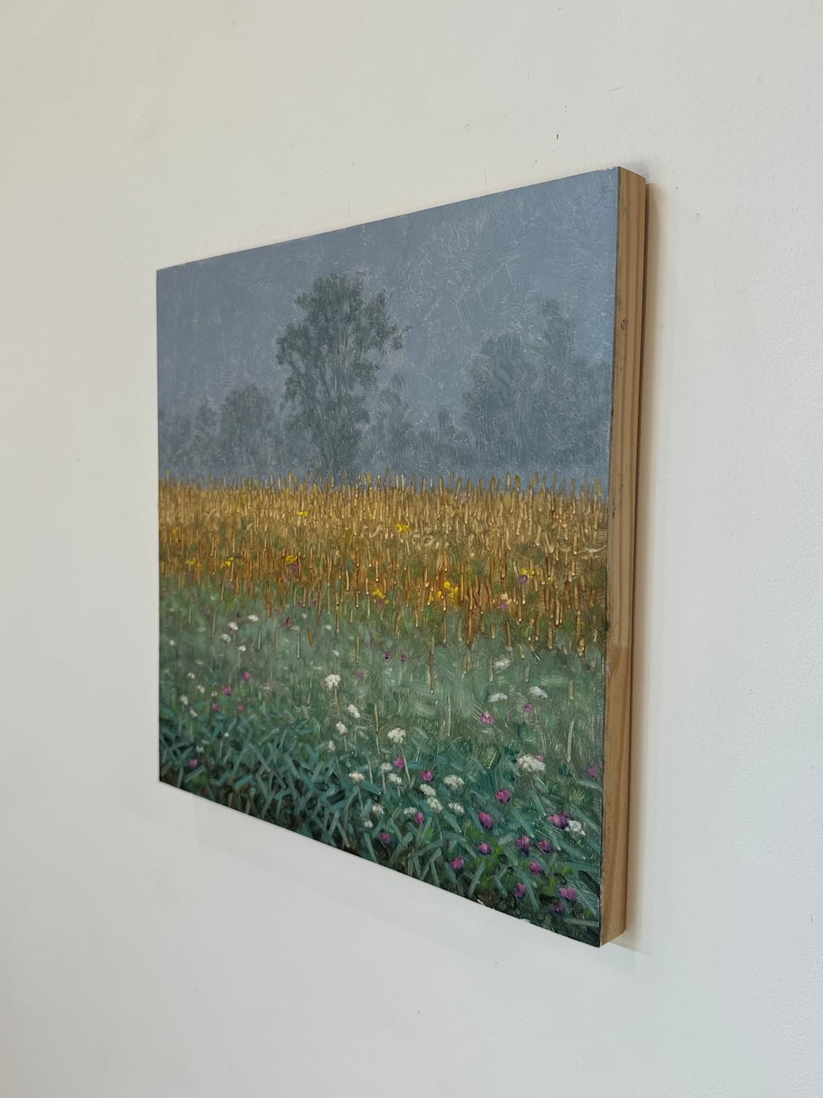 Thomas Sarrantonio, Field Painting September 6, 2023