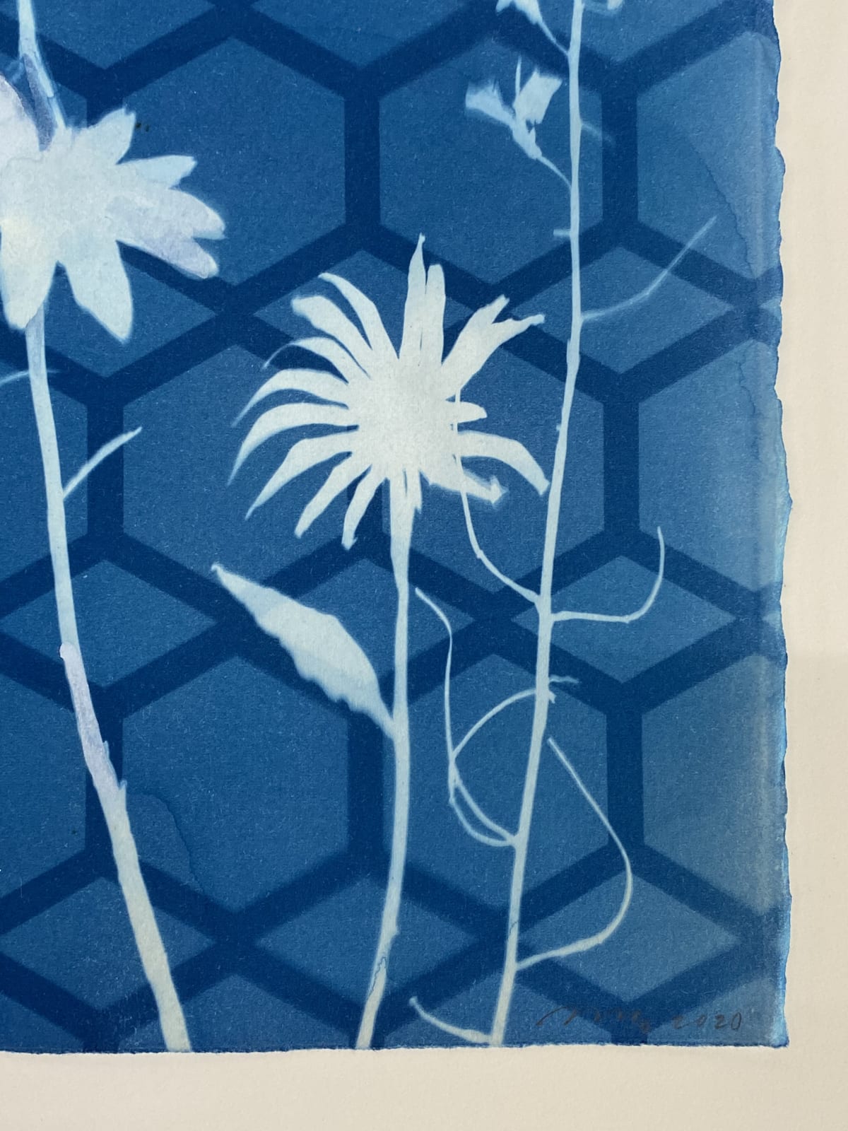 Julia Whitney Barnes, Cyanotype Painting (Crocus, Star Flower, Cosmos, Ferns, Diamond Hexagon Floor Pattern), 2021