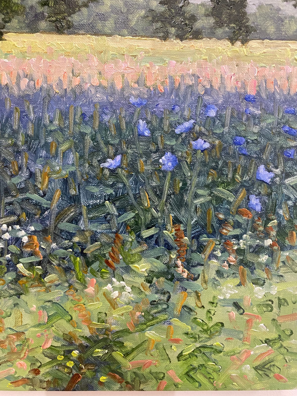 Thomas Sarrantonio, Field Painting July 8, 2022