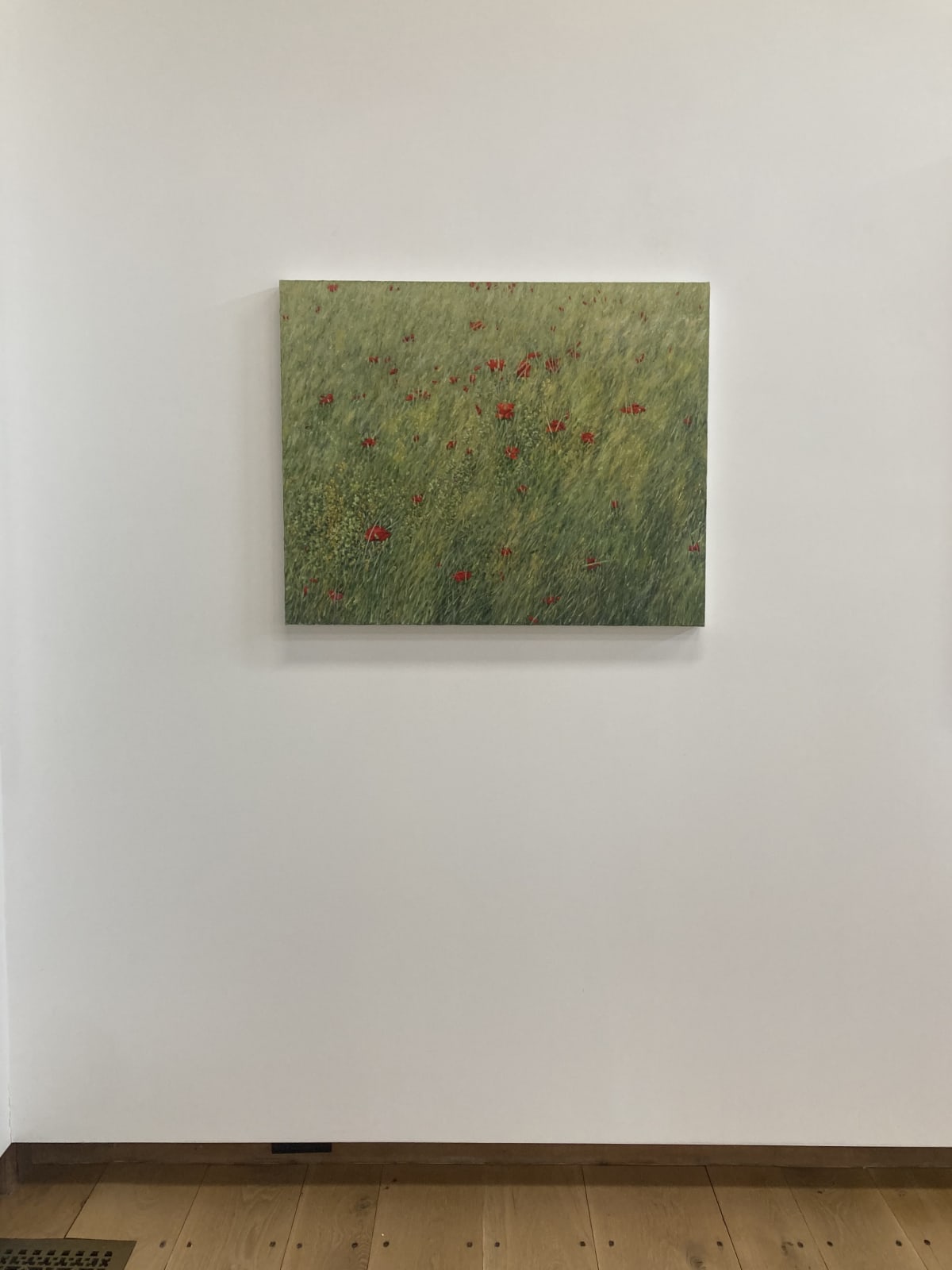 Thomas Sarrantonio, Poppies, 2020