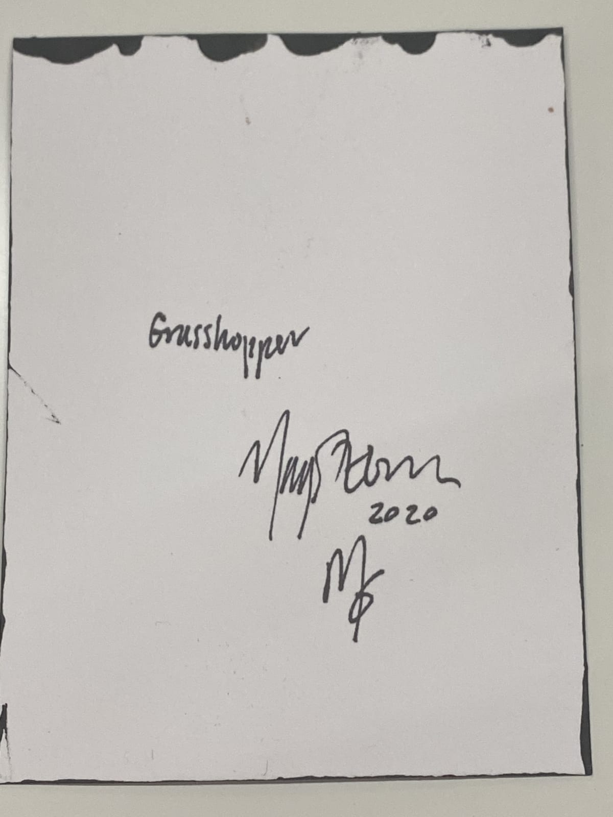 Margot Glass, Grasshopper, 2020