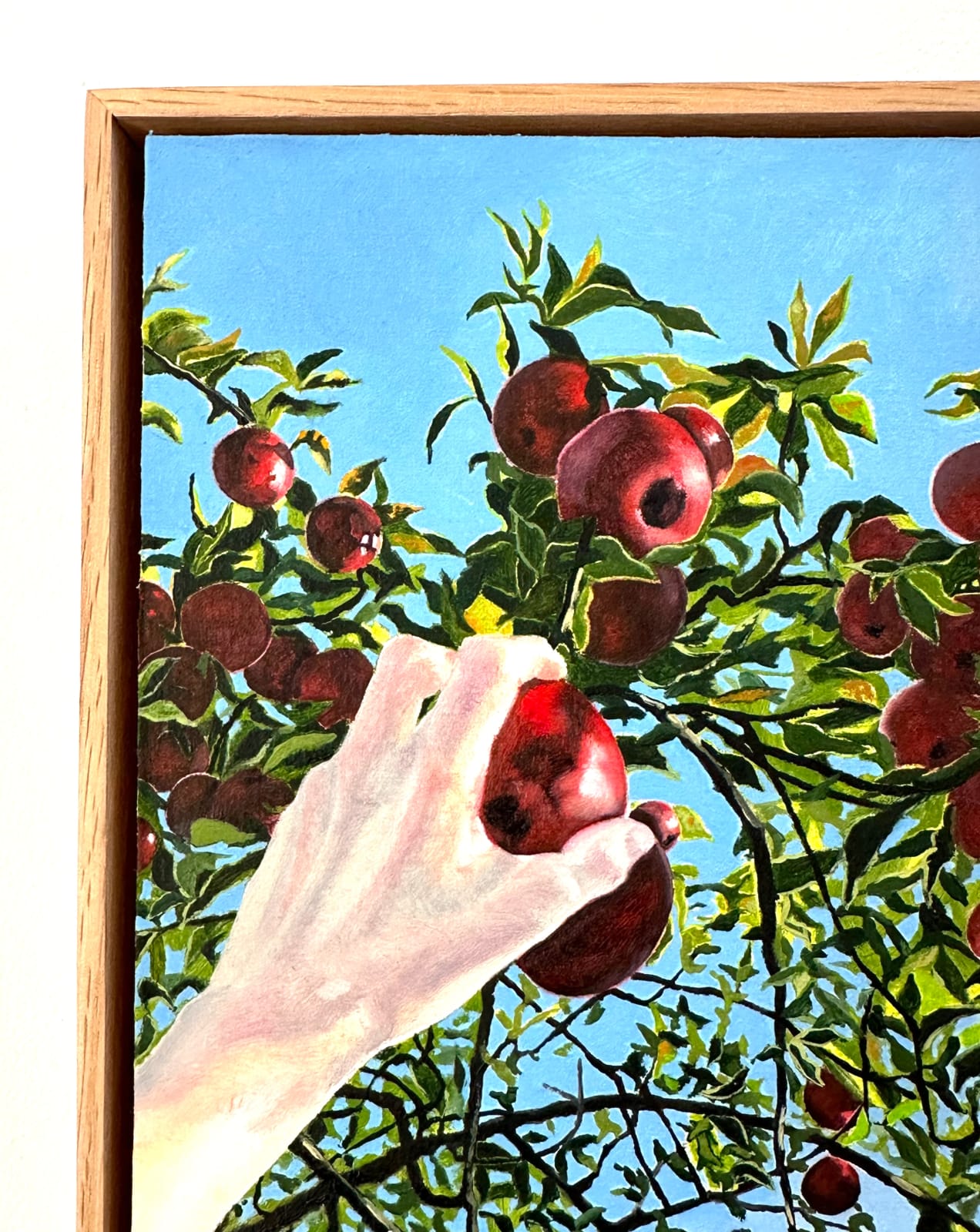 Amanda Acker, Apple Picking, 2023
