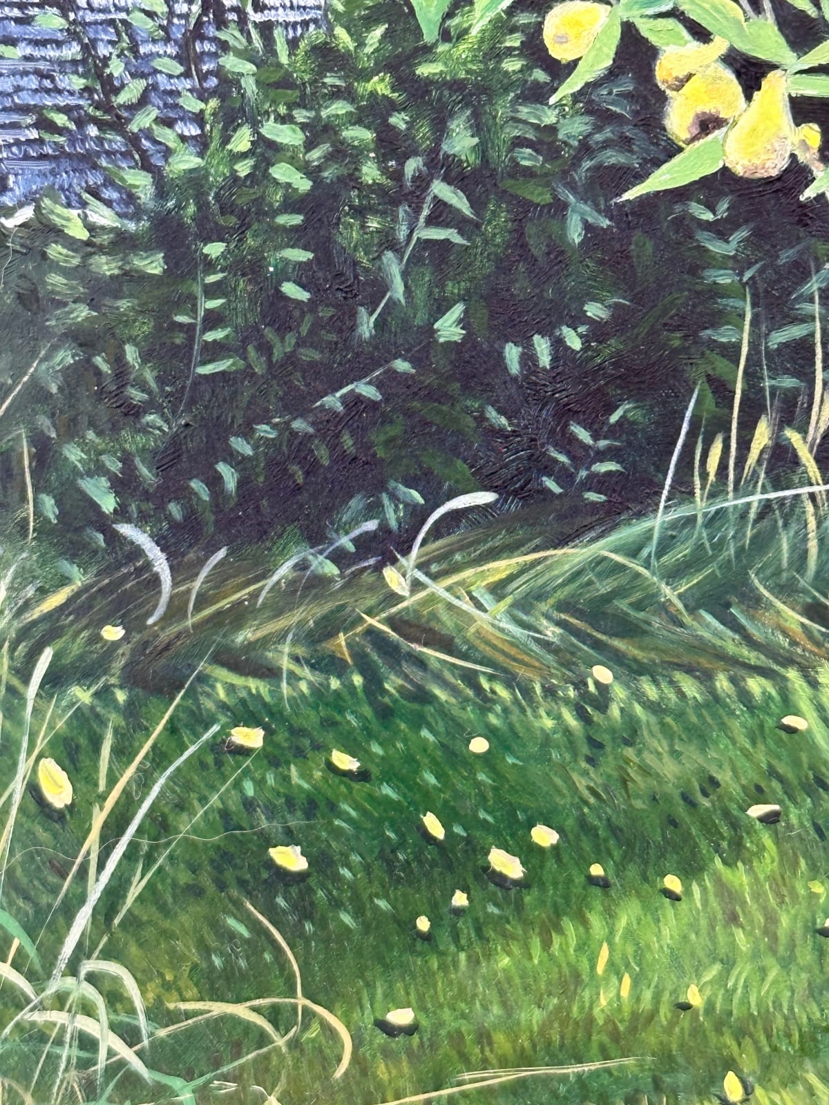 Amanda Acker, Backyard Pear, 2023