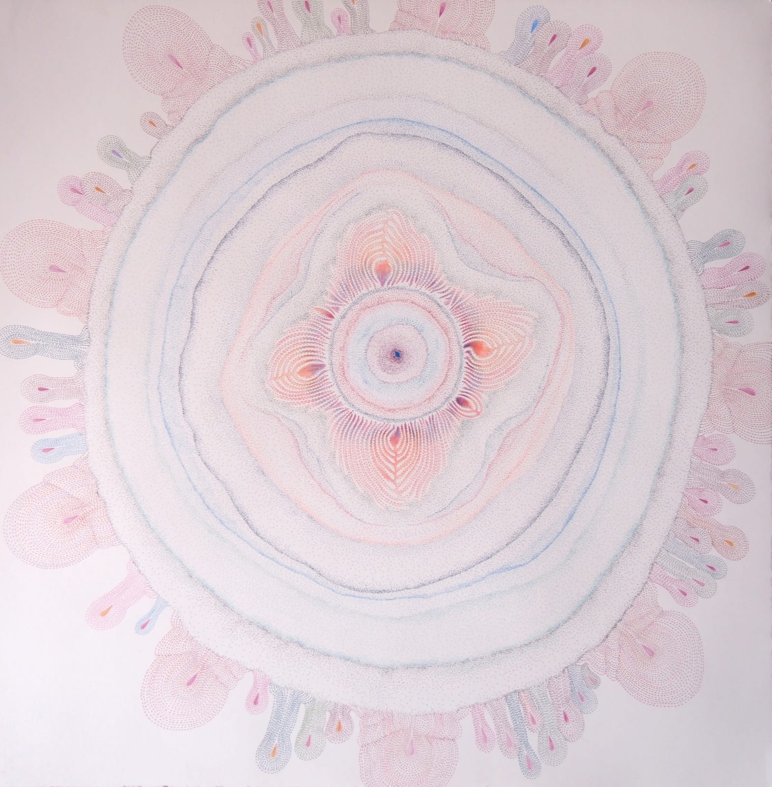 Sarah Morejohn, Red Columbine, 2016