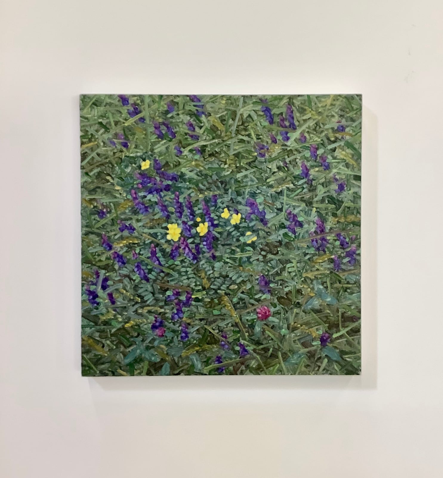 Thomas Sarrantonio, Clamor, 2016