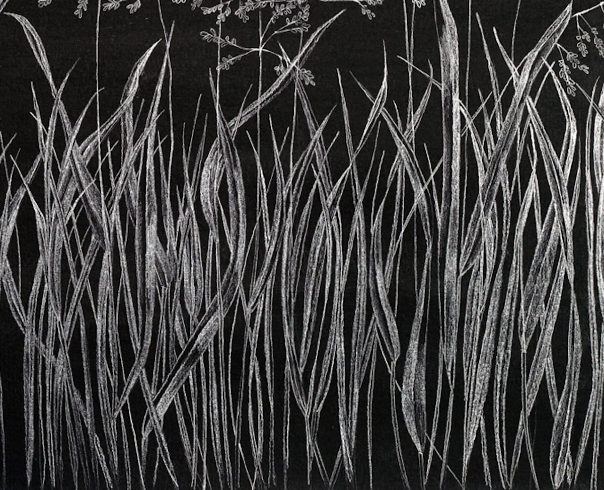 Margot Glass, Grasses 6, 2019