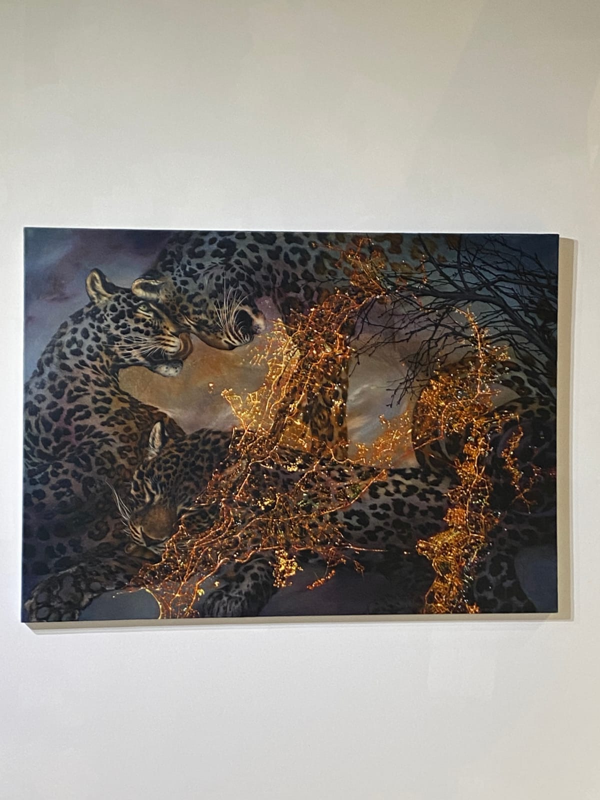 Francine Fox, Leopards of Mumbai, 2022
