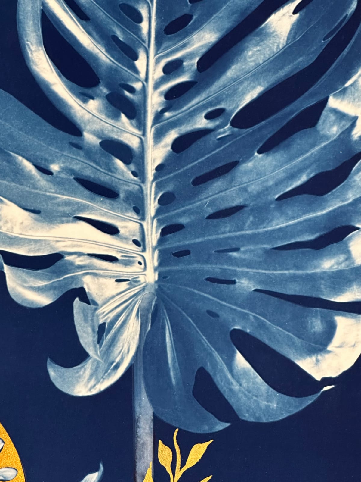 Julia Whitney Barnes, Gold Flora (Tulips, Monstera, Poppy, Hellebore, Fritillaria, Lily of the Valley, etc.), 2023-'24