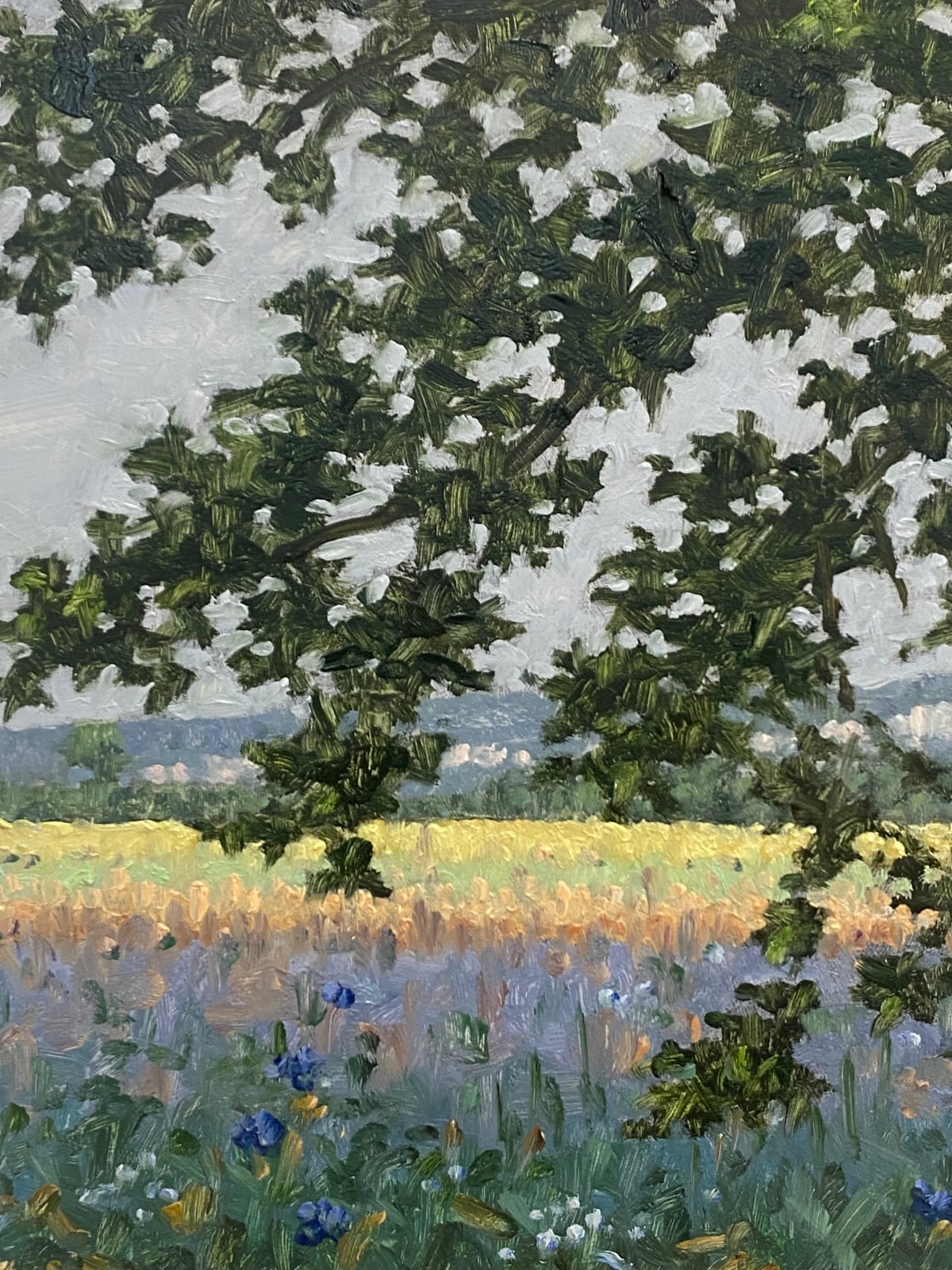 Thomas Sarrantonio, Field Painting July 12, 2022