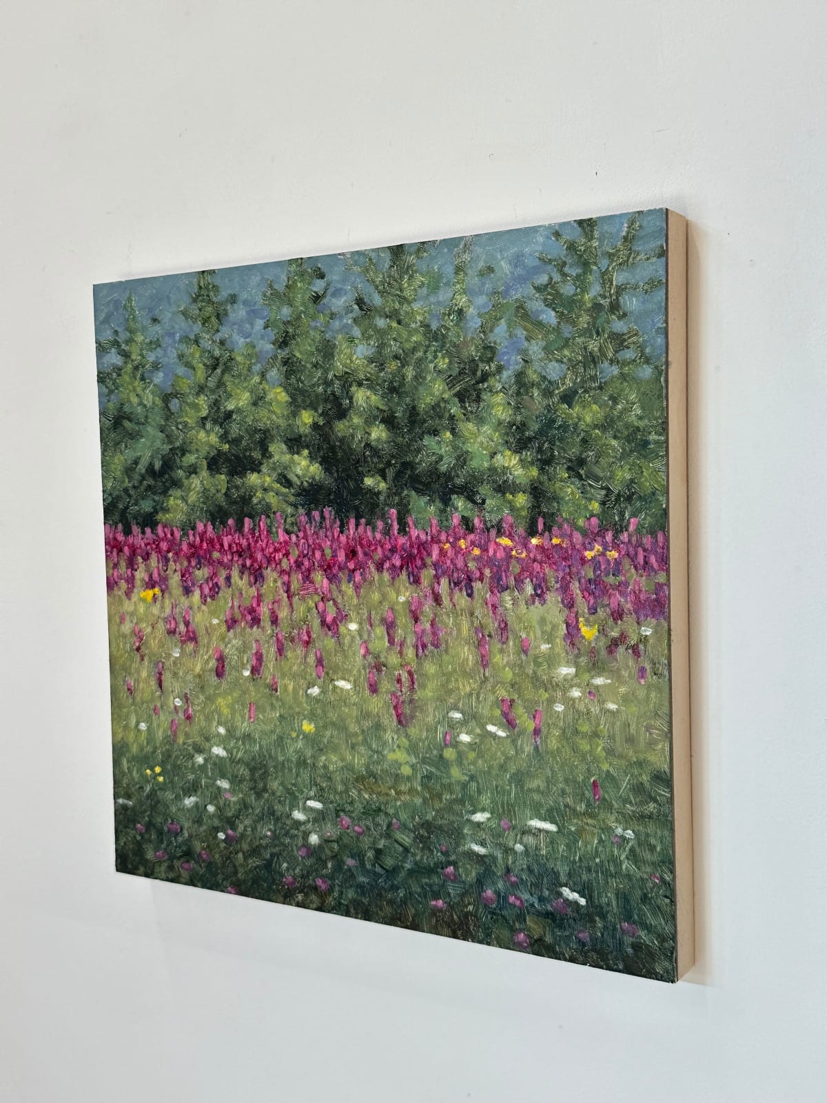 Thomas Sarrantonio, Field Painting August 21, 2023