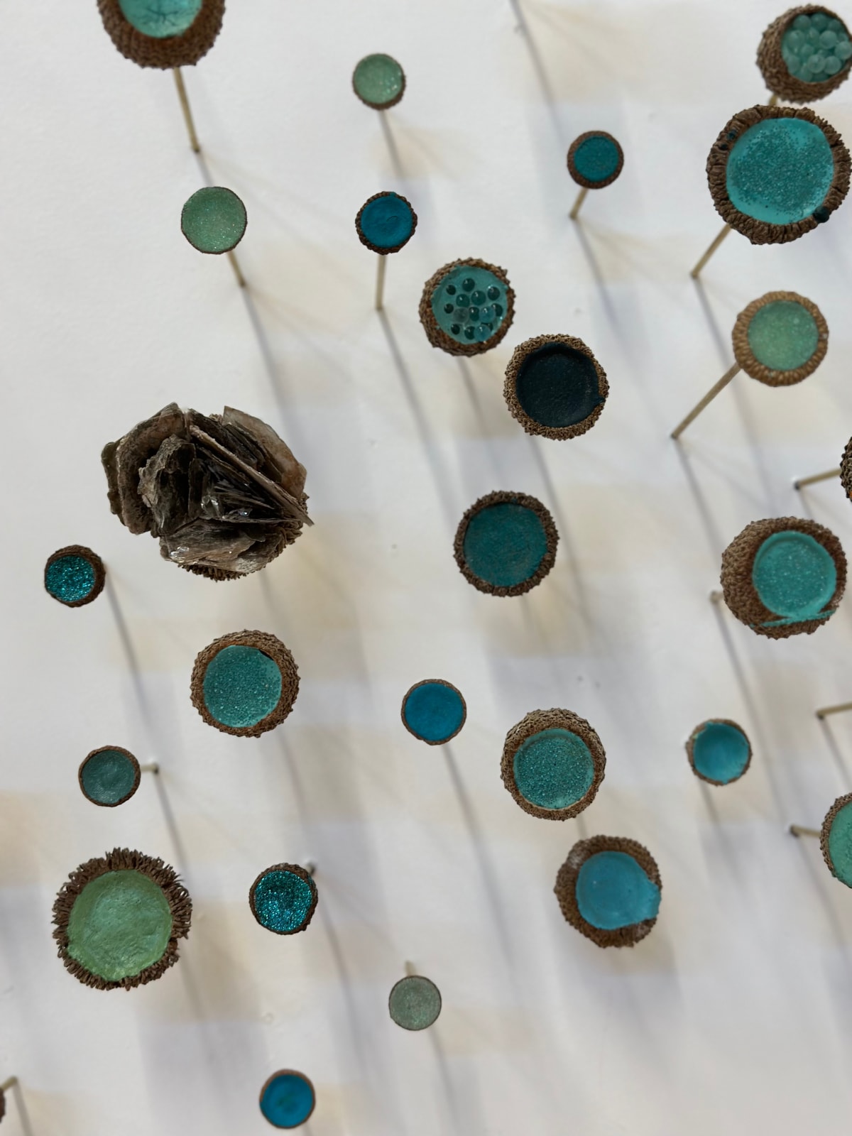 Julie Maren, Aquatic Garden, 2024