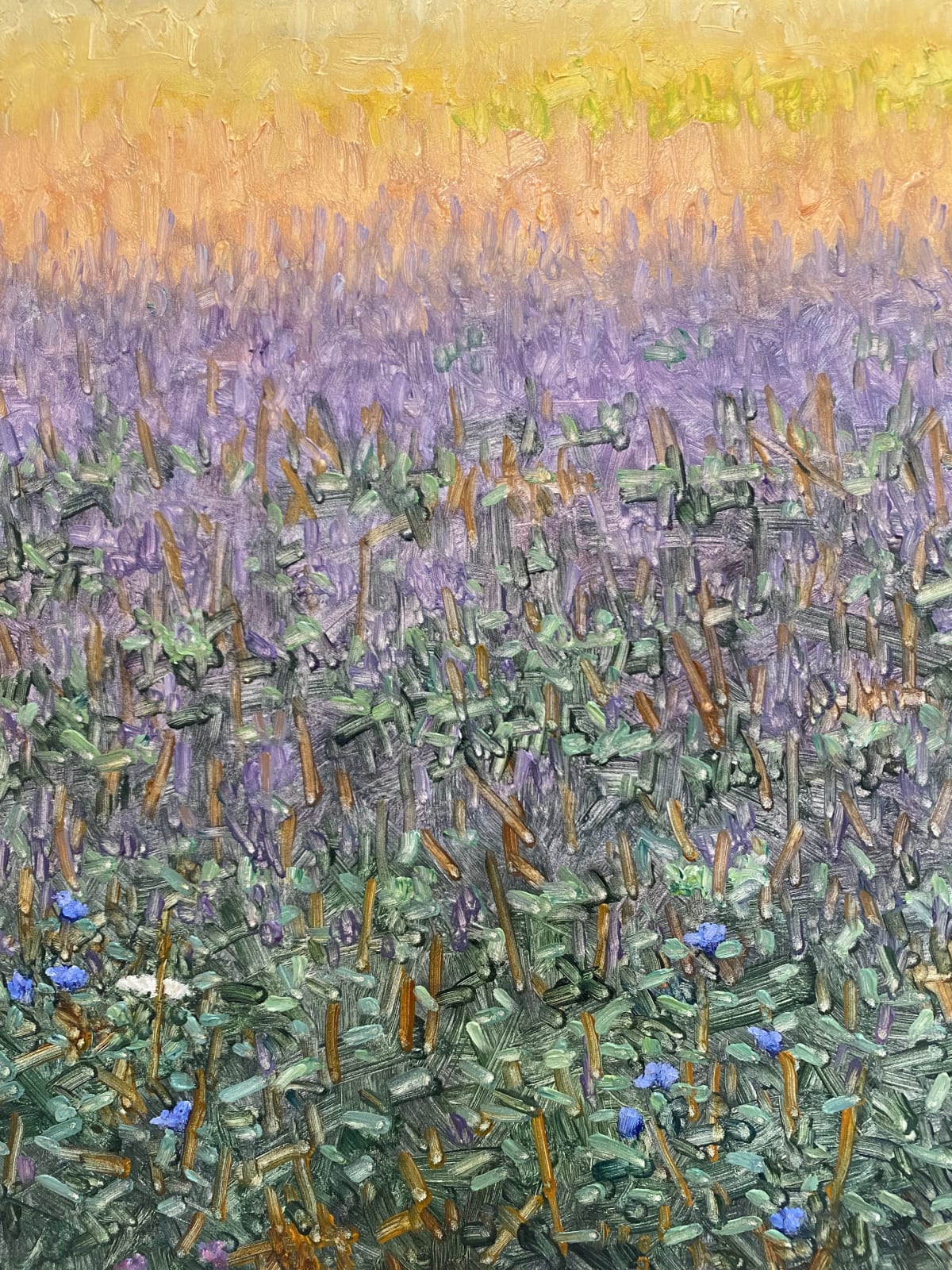 Thomas Sarrantonio, Field Painting July 29, 2022