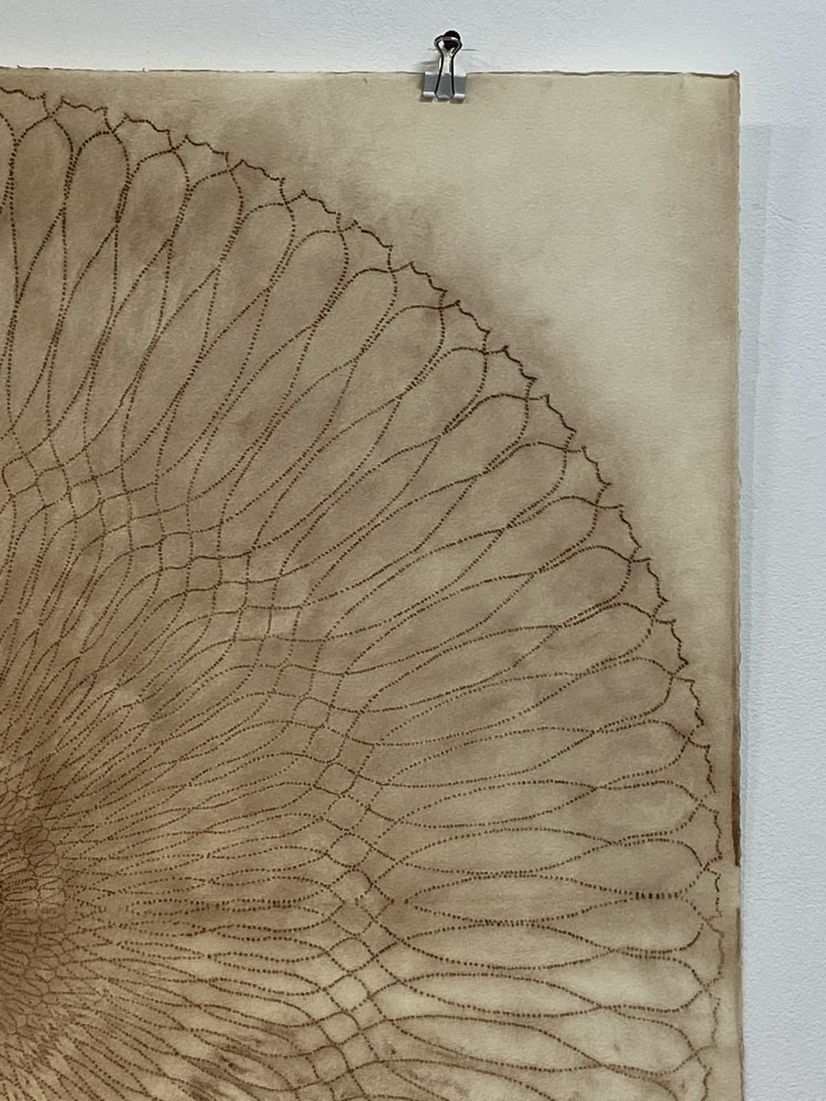 Mary Judge, Circle Series 30/1, 2006