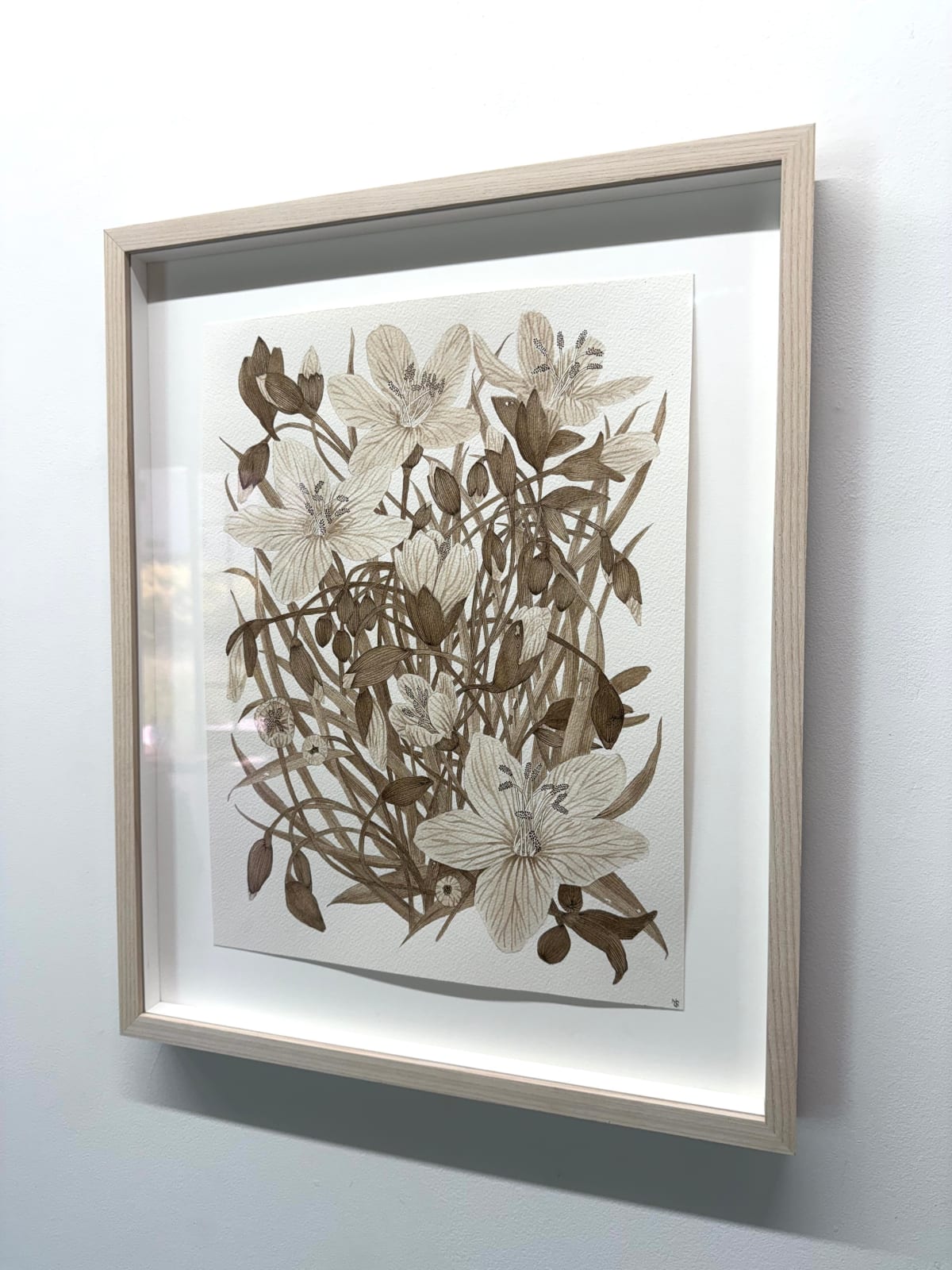 Margot Glass, Spring Beauty (Rokeby Woods) 1, 2025