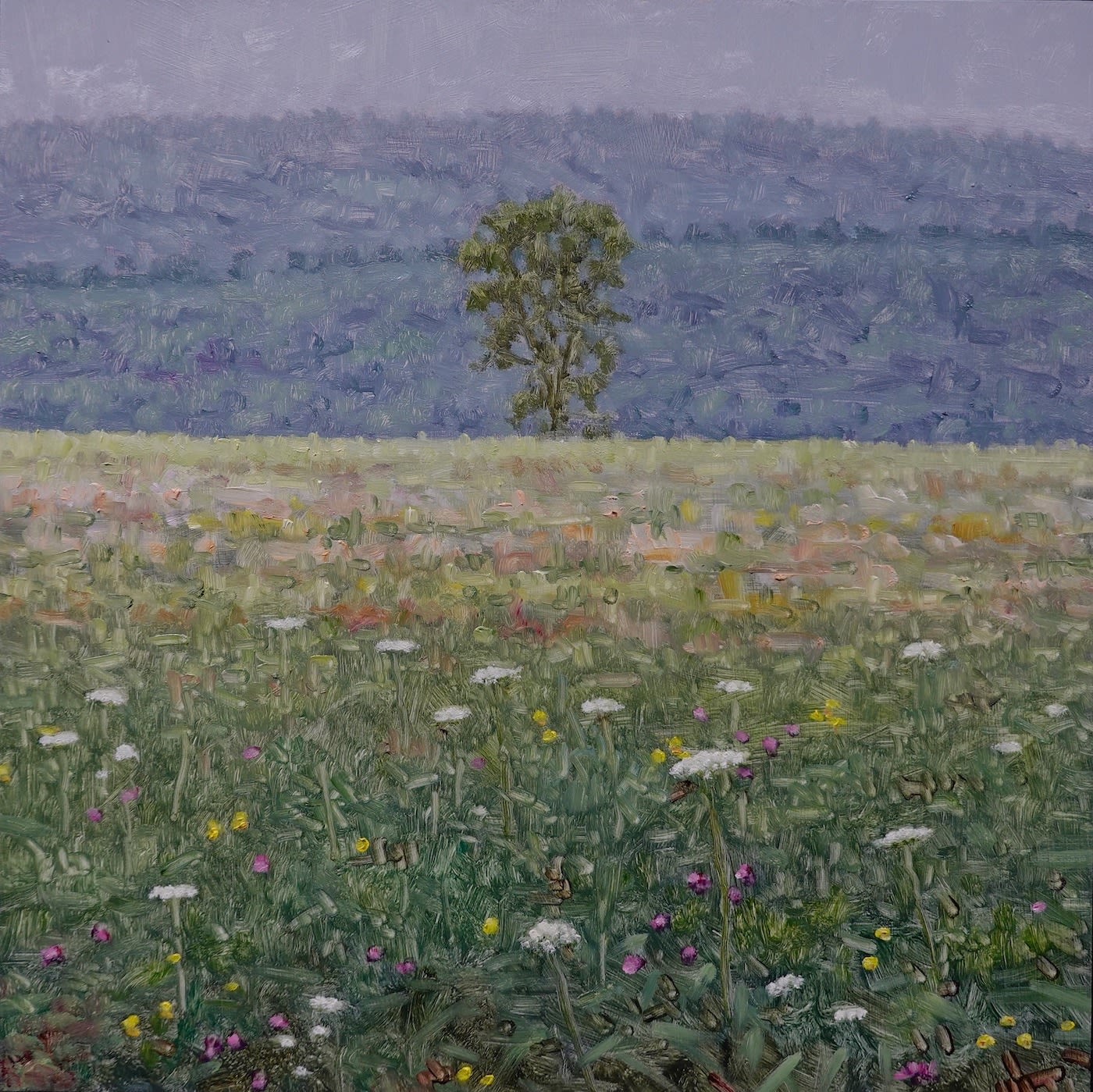 Thomas Sarrantonio, Field Painting July 27, 2023