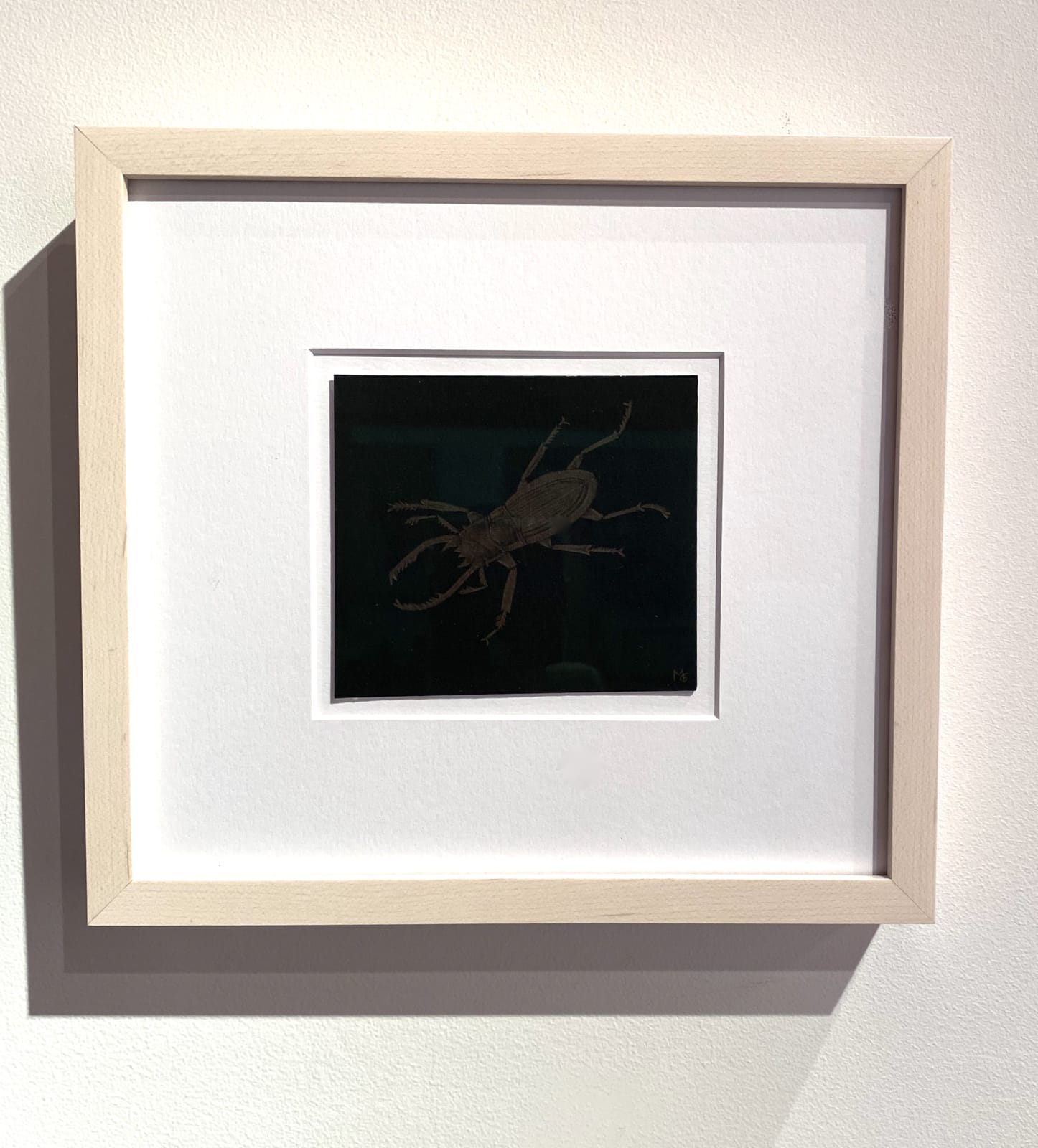 Margot Glass, Stag Beetle, 2020