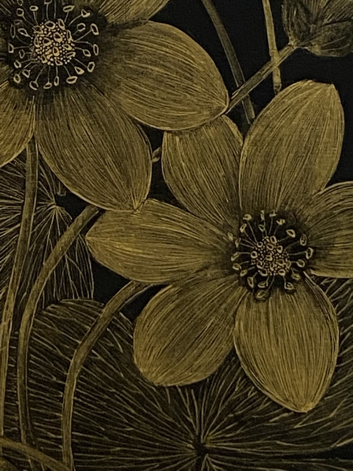 Margot Glass, Anemone 1, 2021